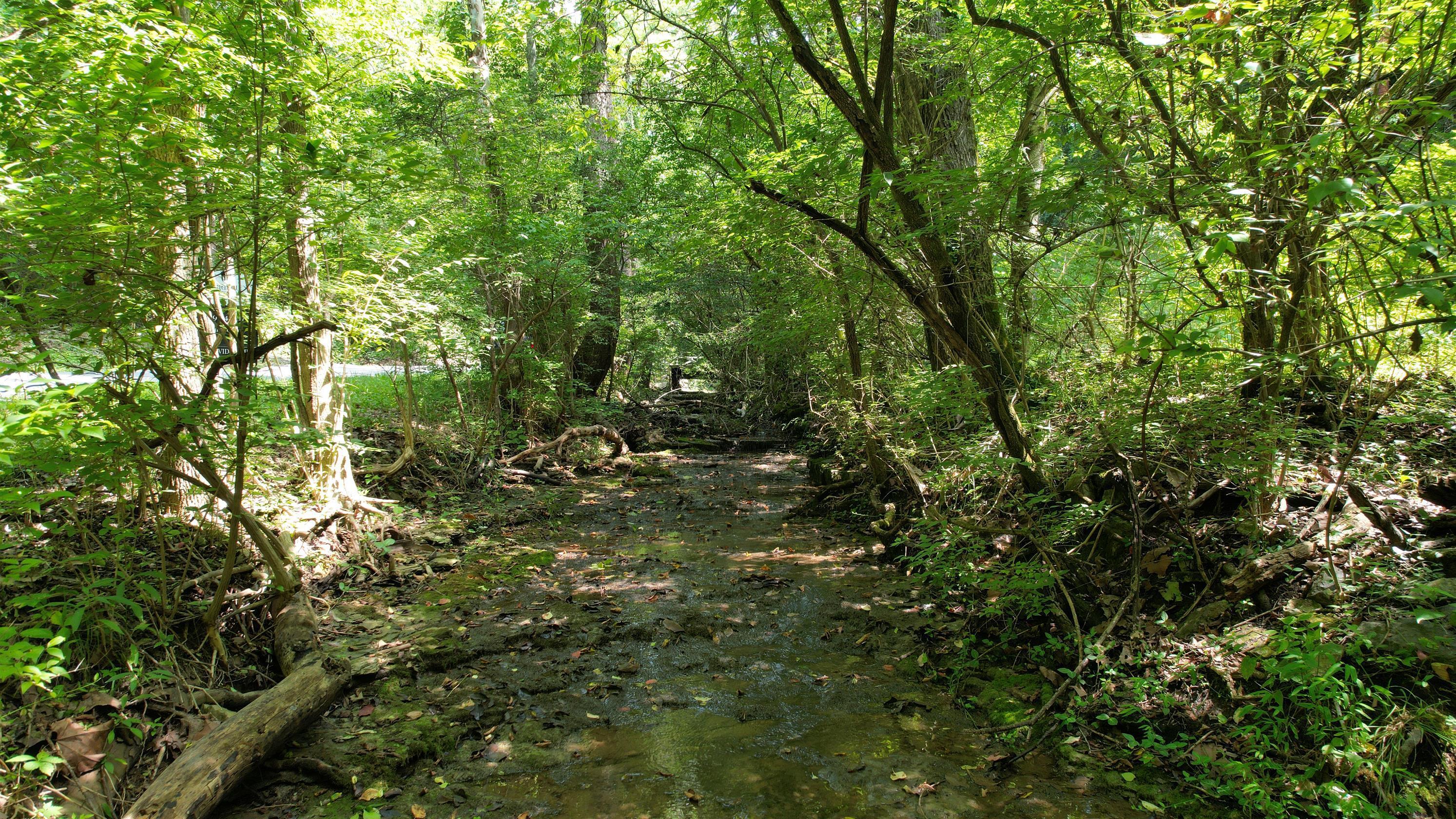 1590 Shryocks Ferry Road Property Photo 1