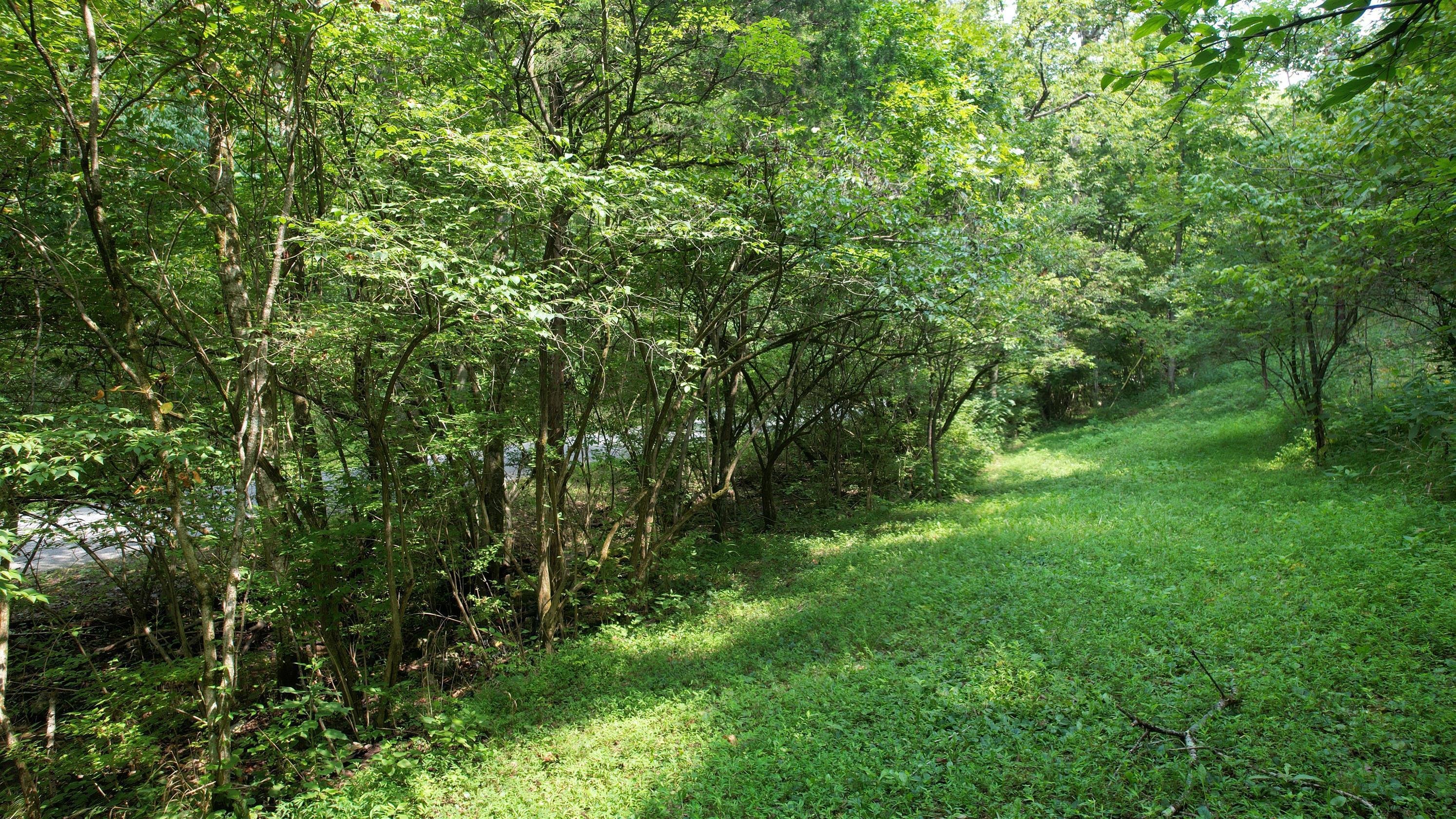 1590 Shryocks Ferry Road Property Photo 9