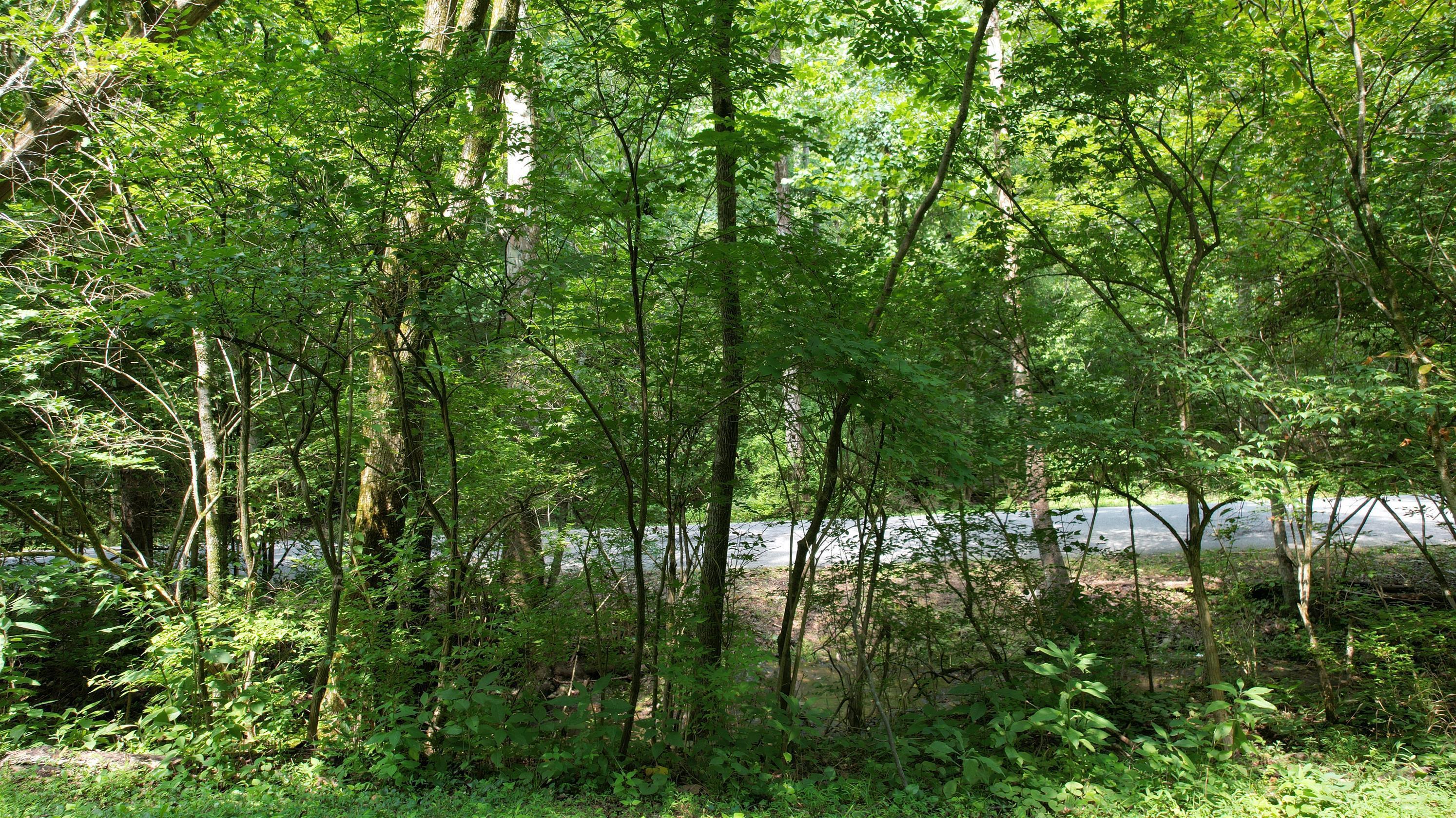 1590 Shryocks Ferry Road Property Photo 12