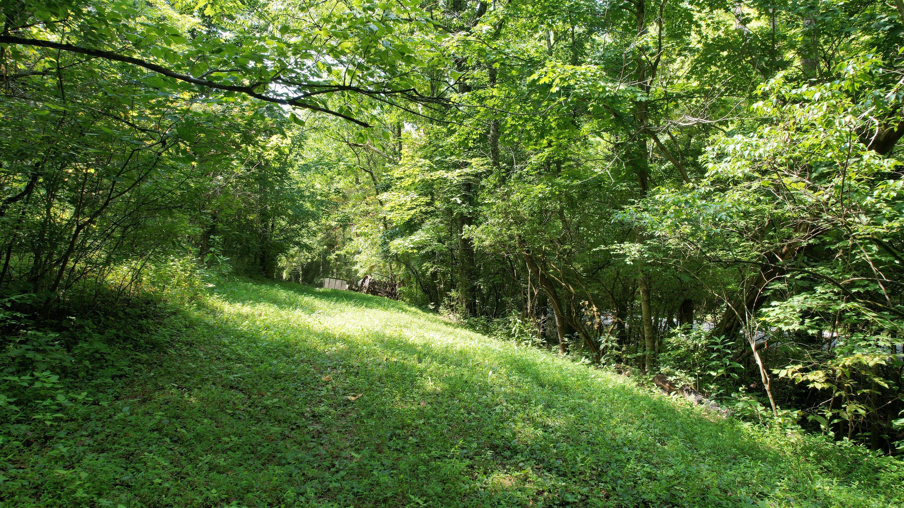 1590 Shryocks Ferry Road Property Photo 15