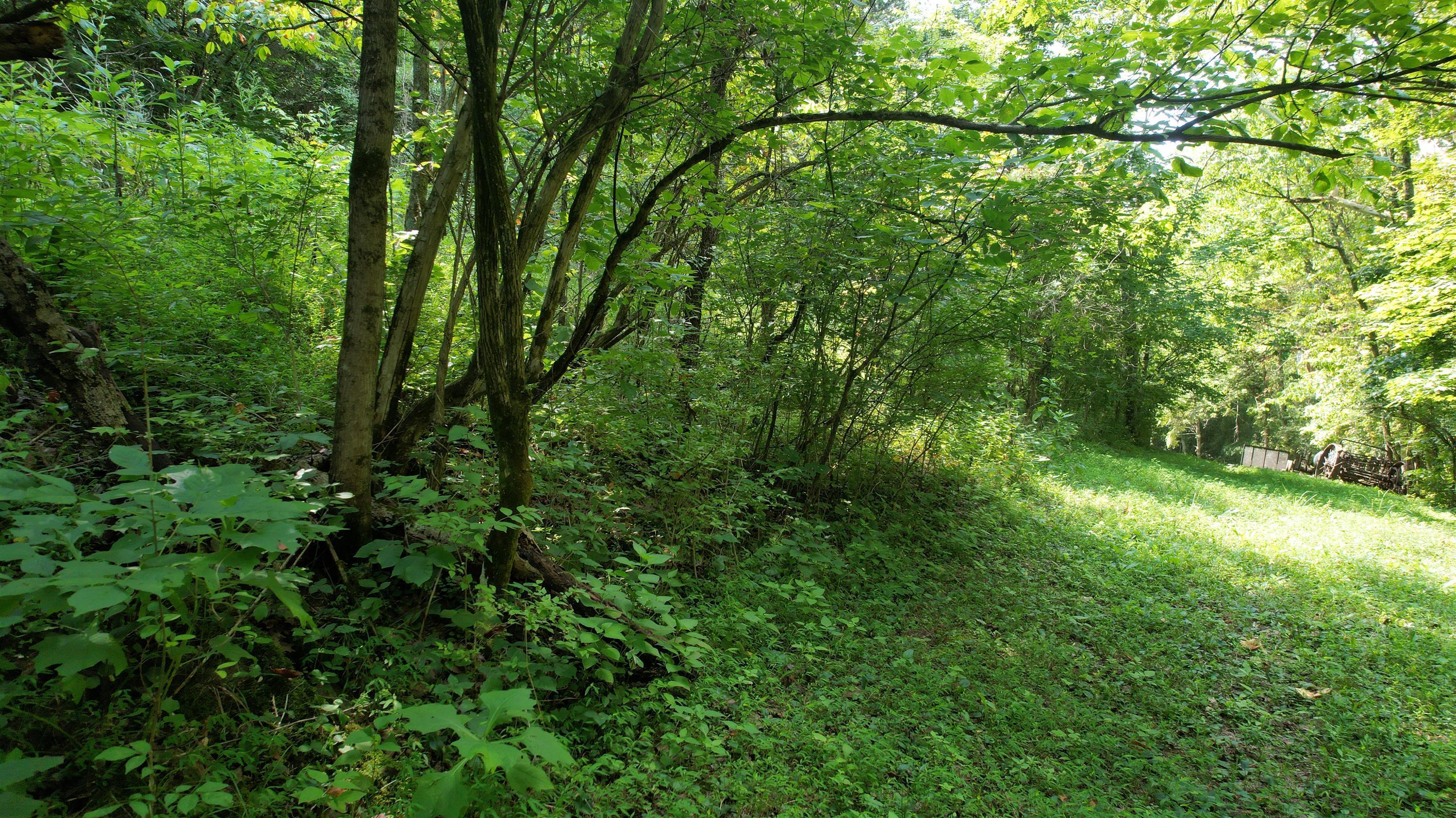 1590 Shryocks Ferry Road Property Photo 17