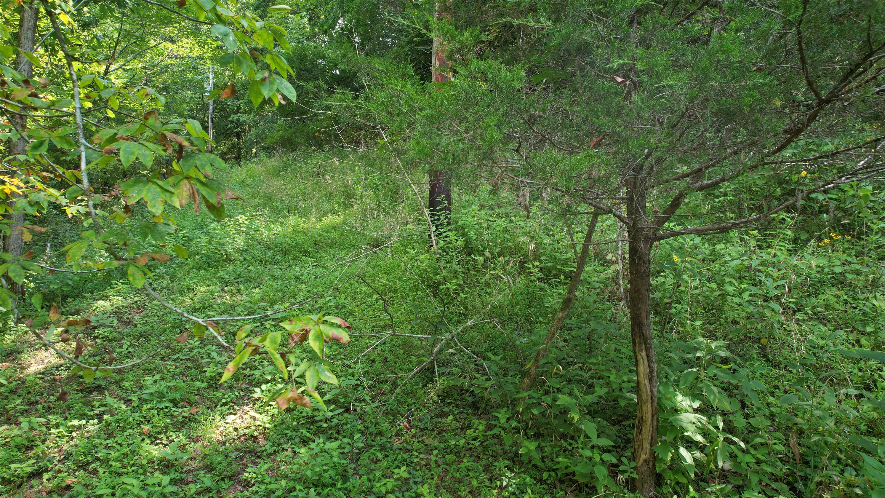 1590 Shryocks Ferry Road Property Photo 18