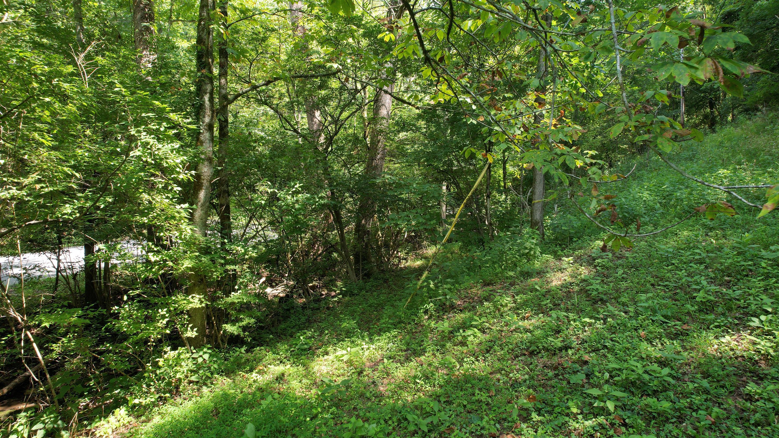 1590 Shryocks Ferry Road Property Photo 20