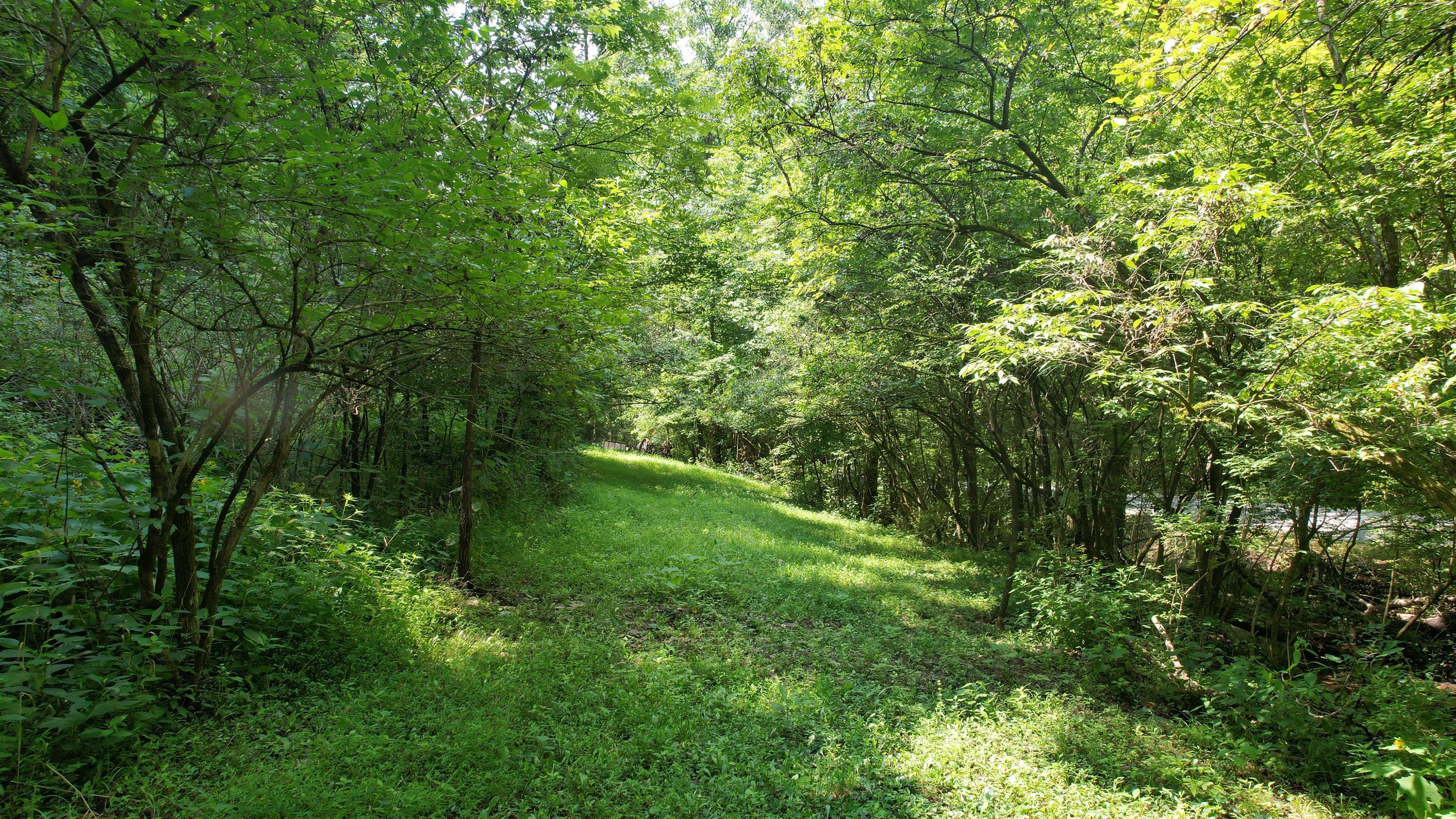 1590 Shryocks Ferry Road Property Photo 23