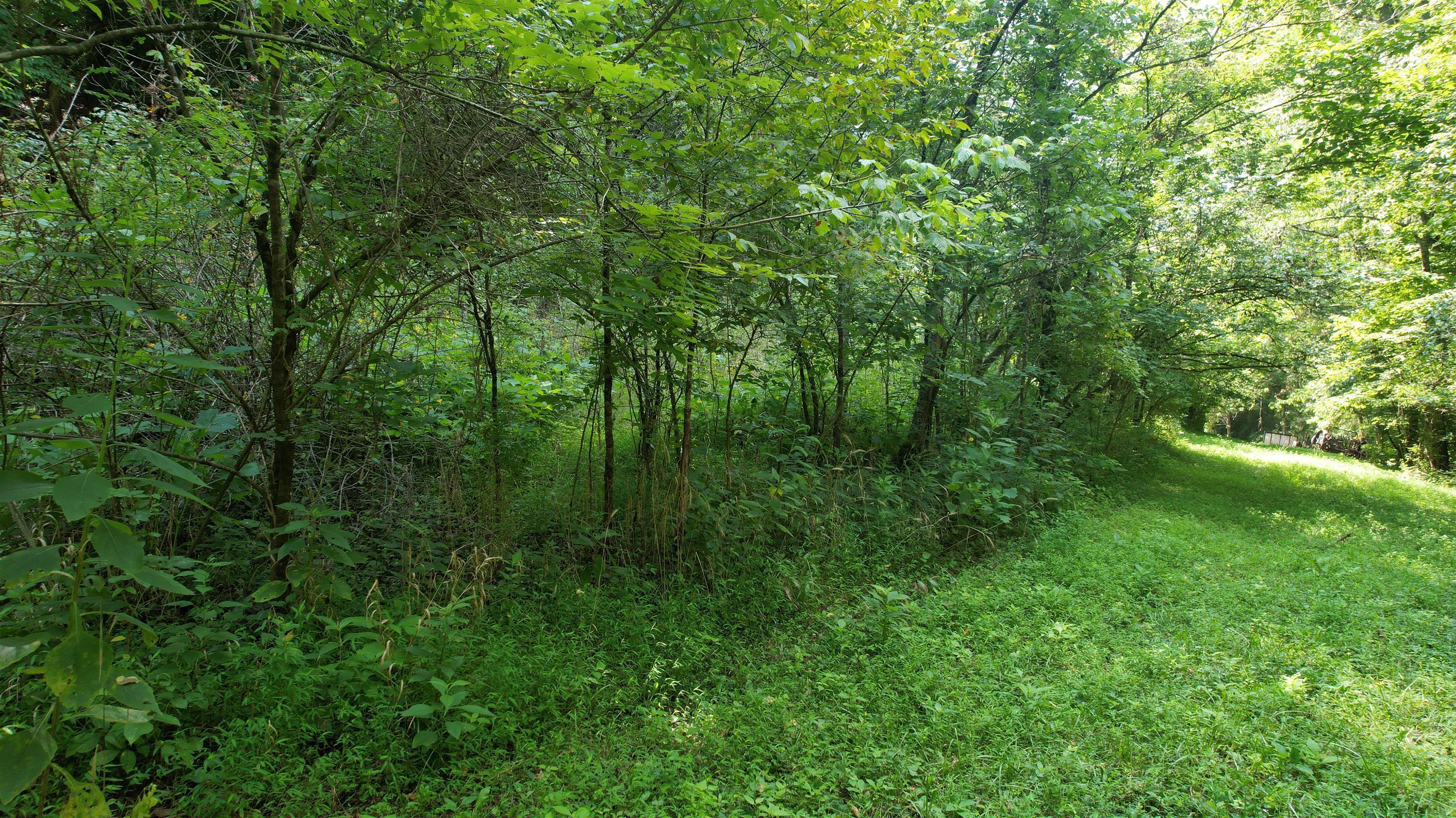 1590 Shryocks Ferry Road Property Photo 24