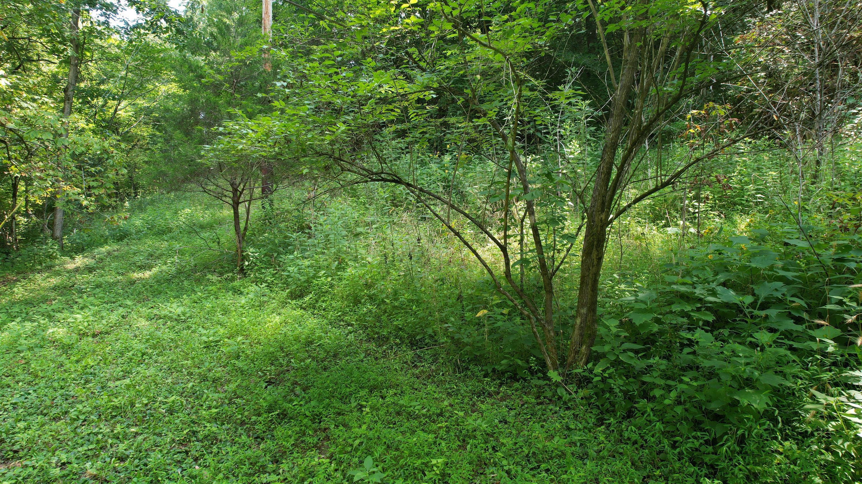 1590 Shryocks Ferry Road Property Photo 25