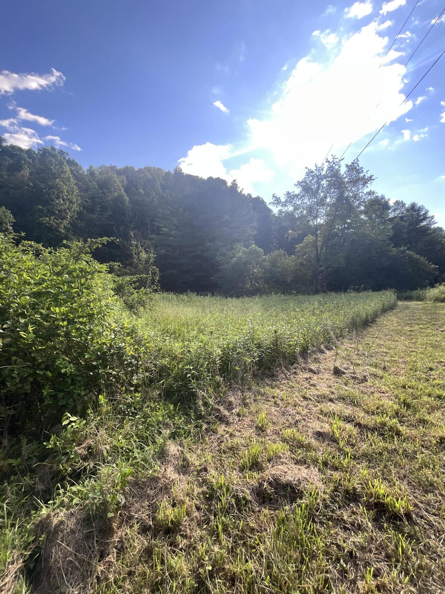 893 Huckleberry Road Property Photo 16