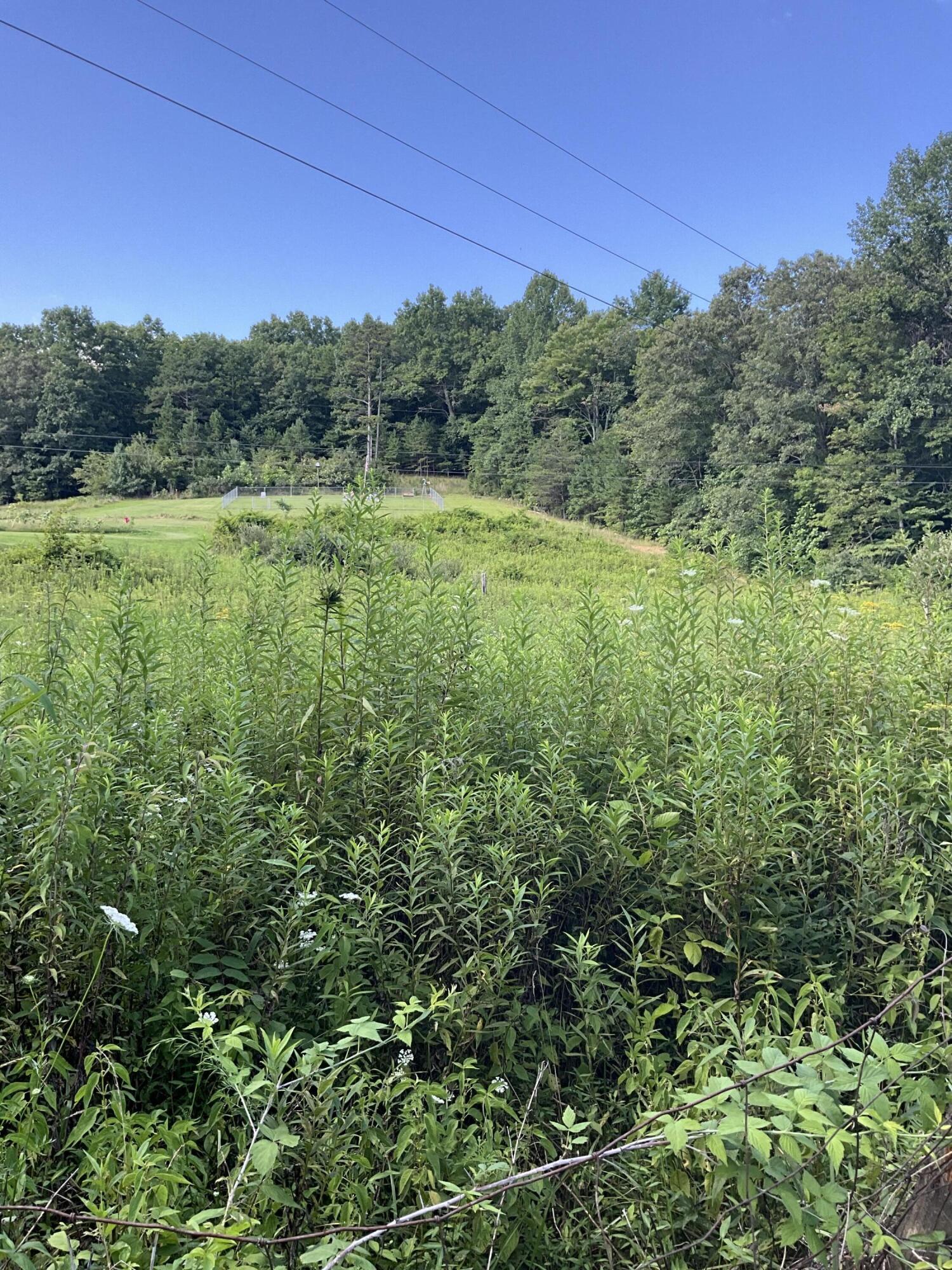 893 Huckleberry Road Property Photo 17