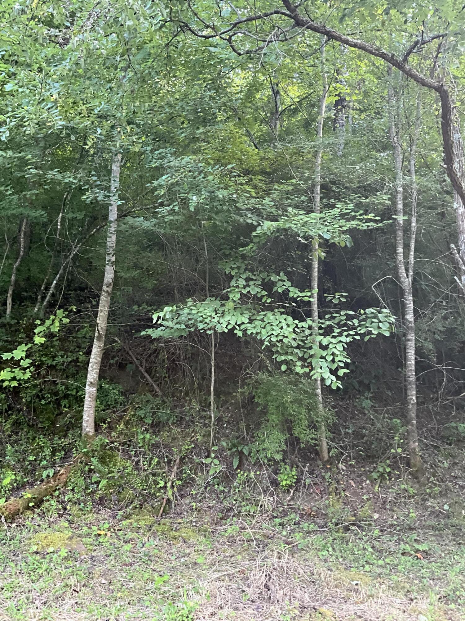 893 Huckleberry Road Property Photo 19