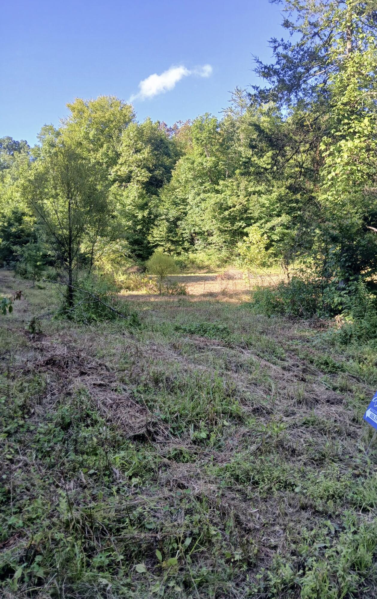 0 Bull Hollow Road Property Photo 12