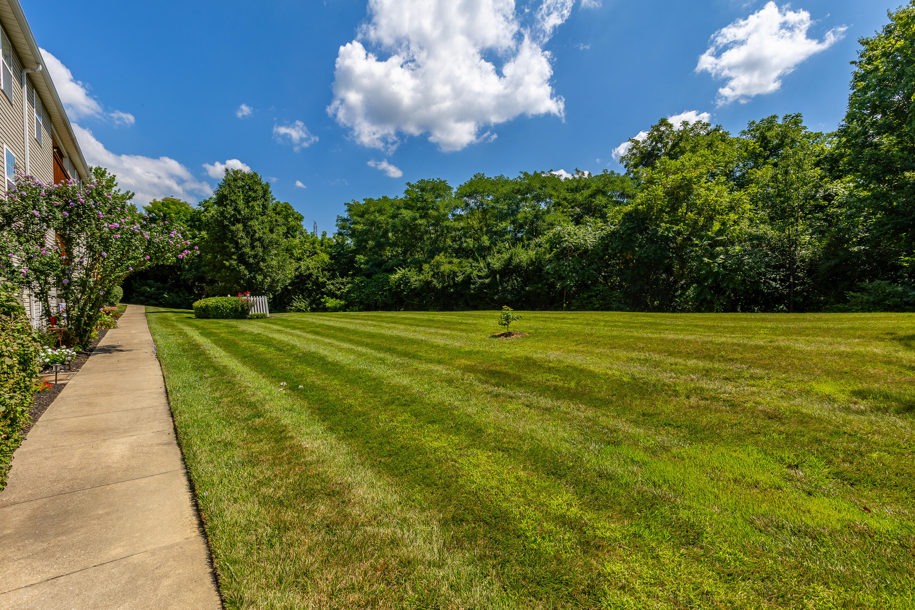 298 Deepwoods Drive Property Photo 33