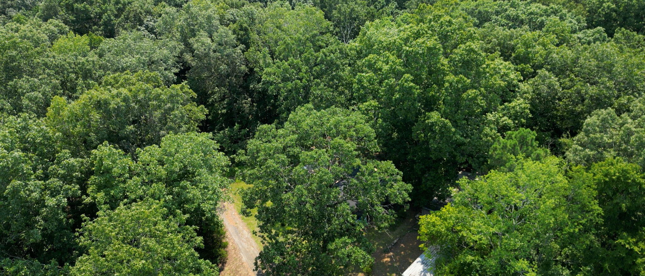 33 Canal Drive Property Photo 33