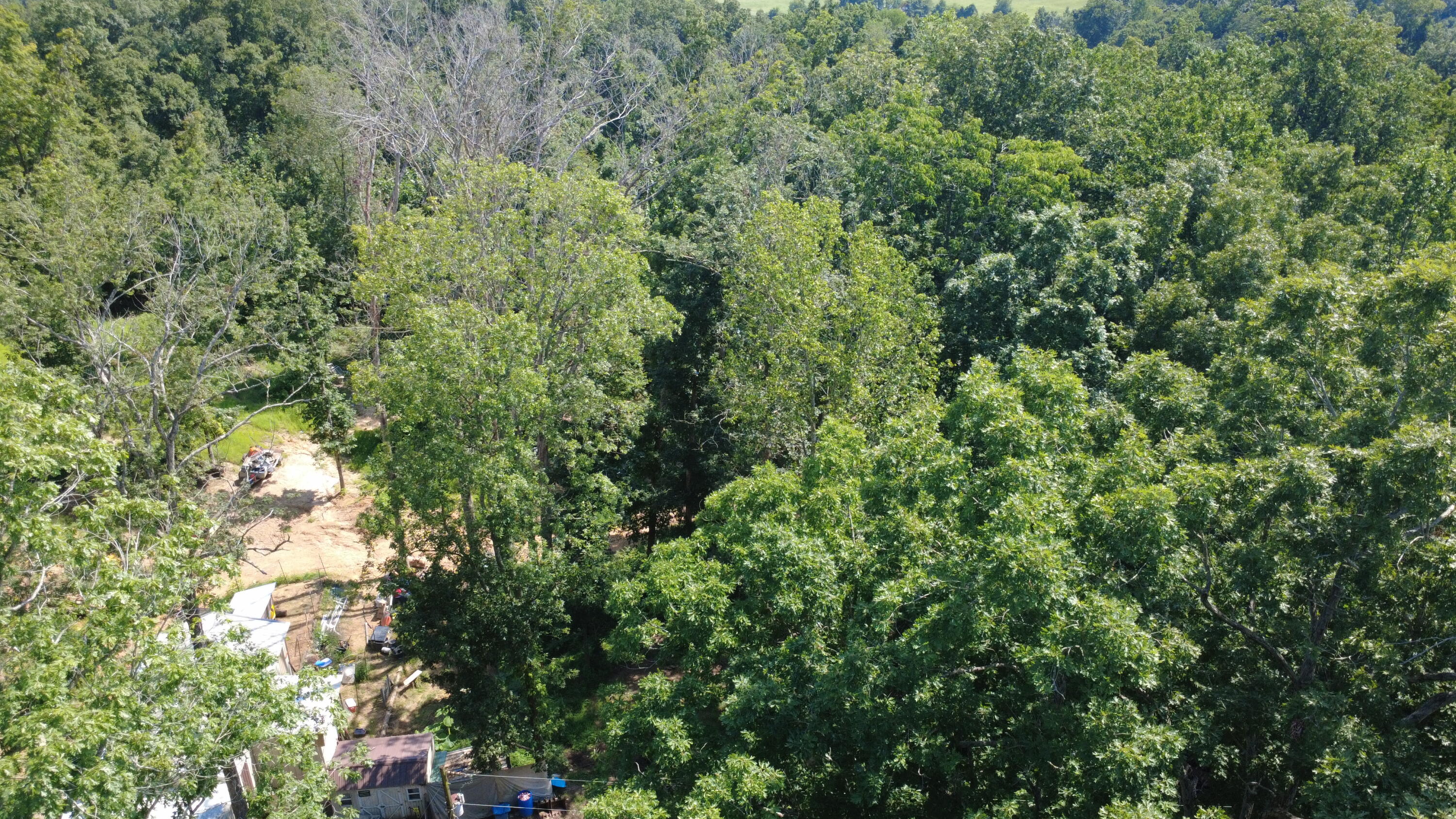 625 Rich Circle Property Photo 20