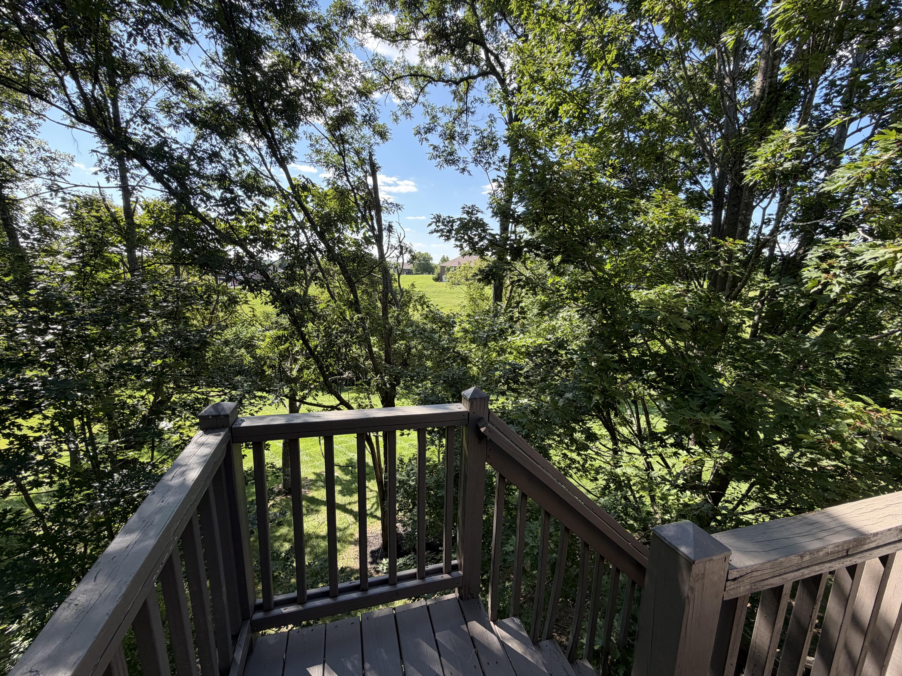 233 View Point Drive Property Photo 71