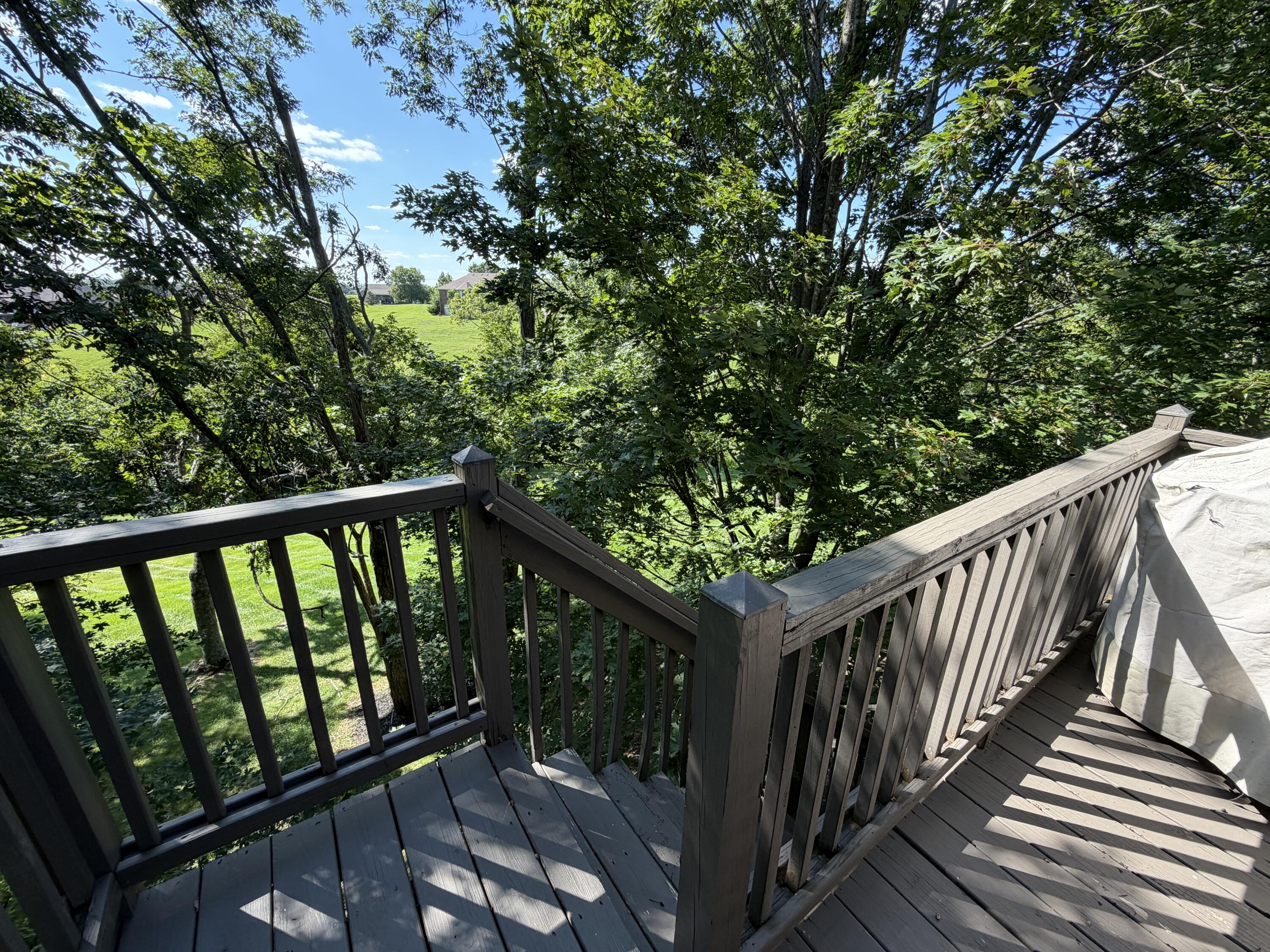 233 View Point Drive Property Photo 73