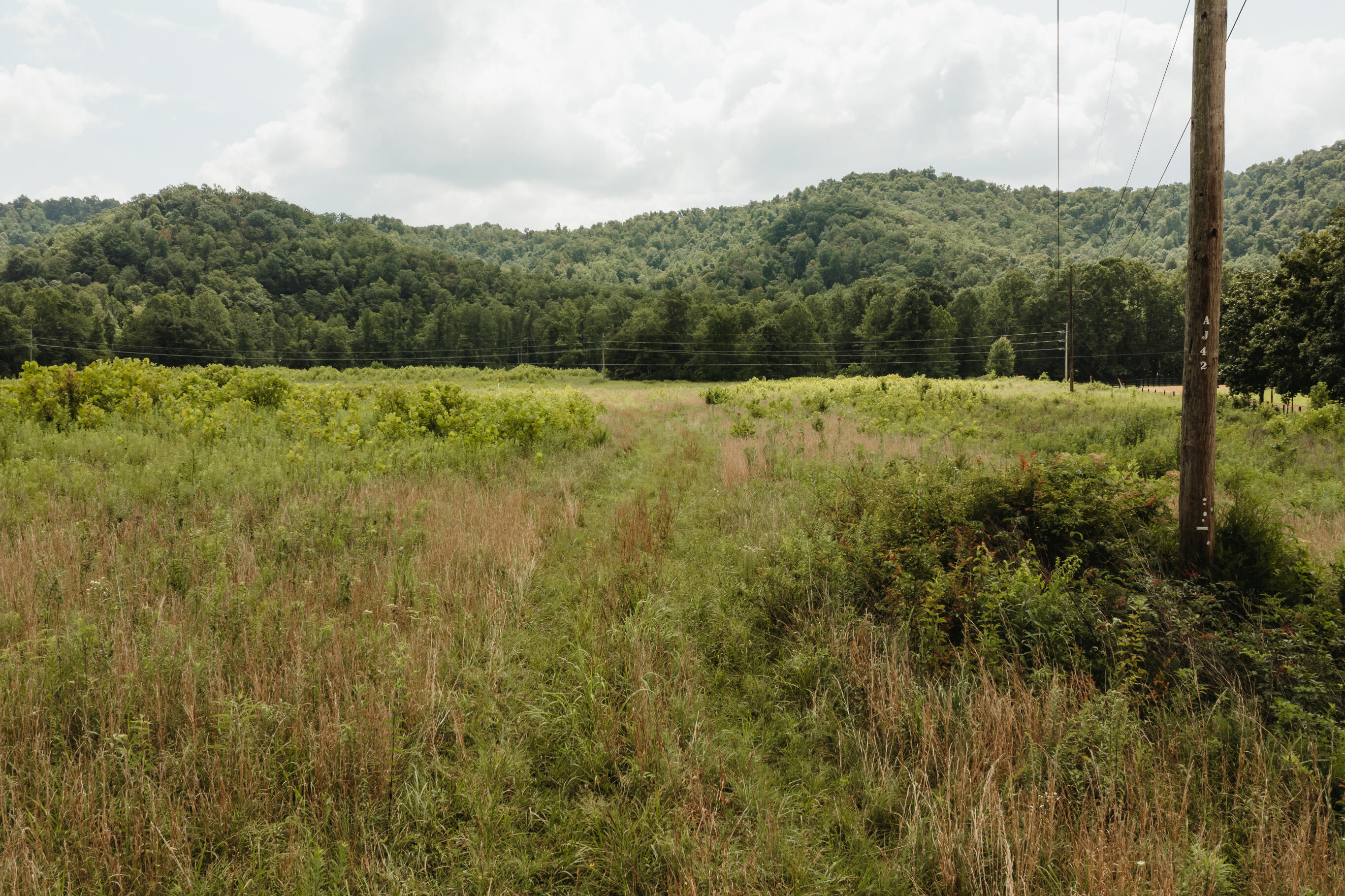 2974 E Fork Road Property Photo 3