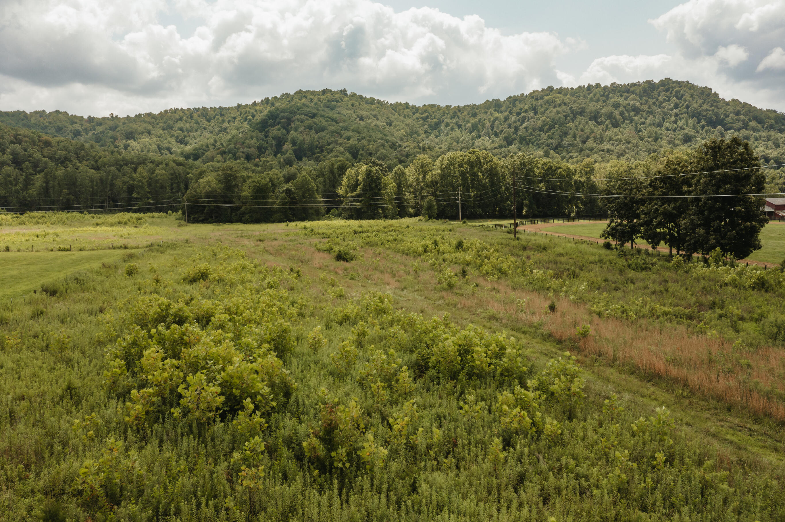 2974 E Fork Road Property Photo 4