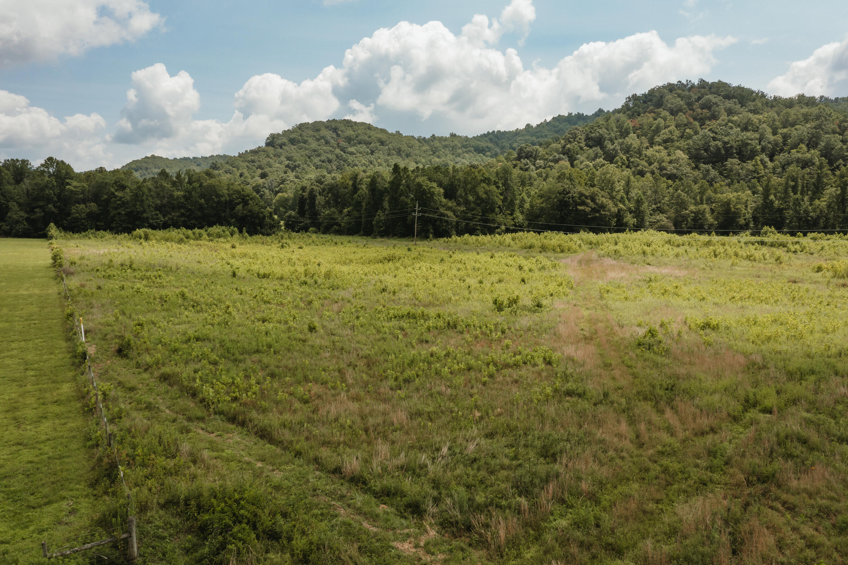 2974 E Fork Road Property Photo 5