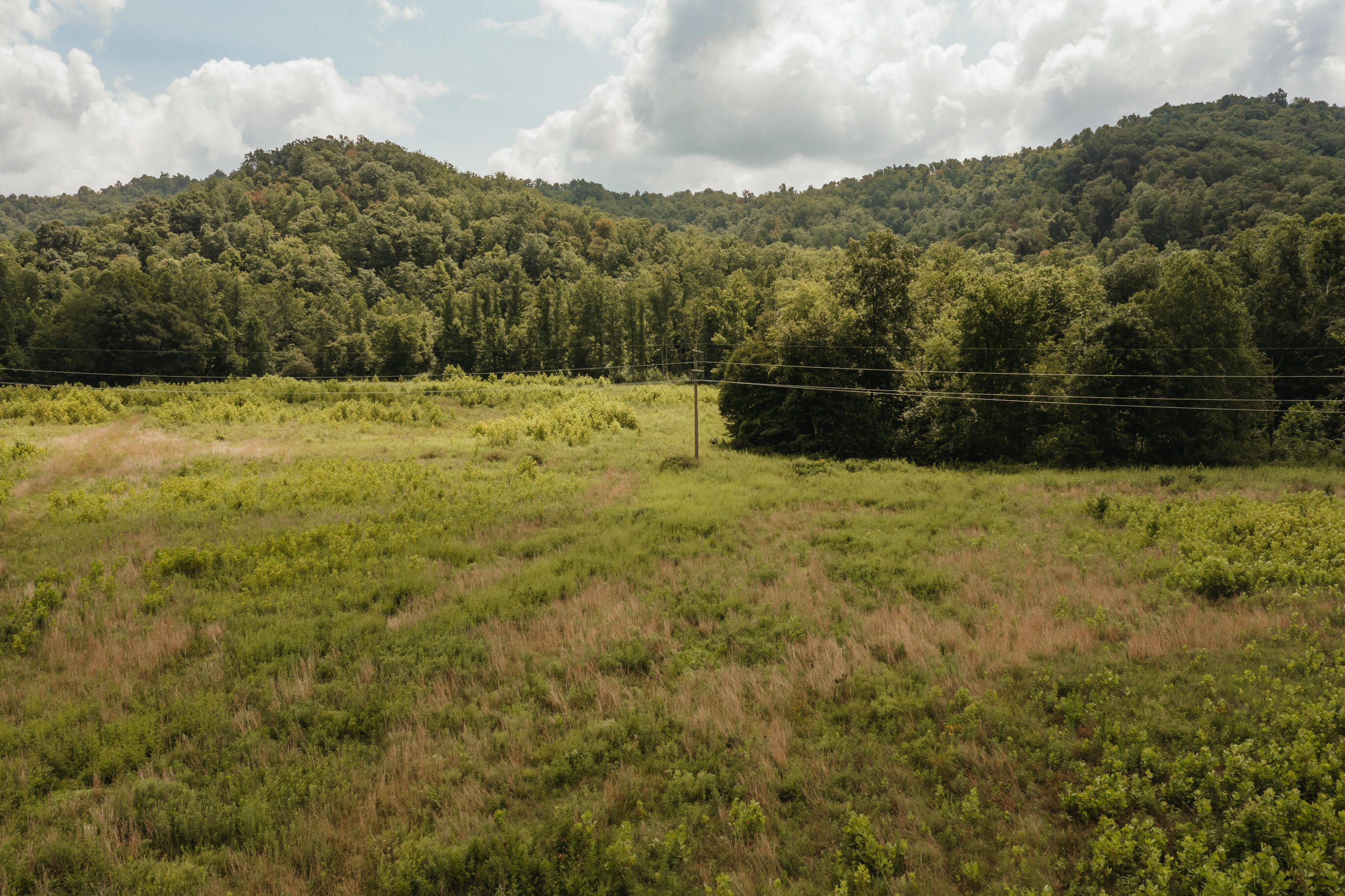2974 E Fork Road Property Photo 6