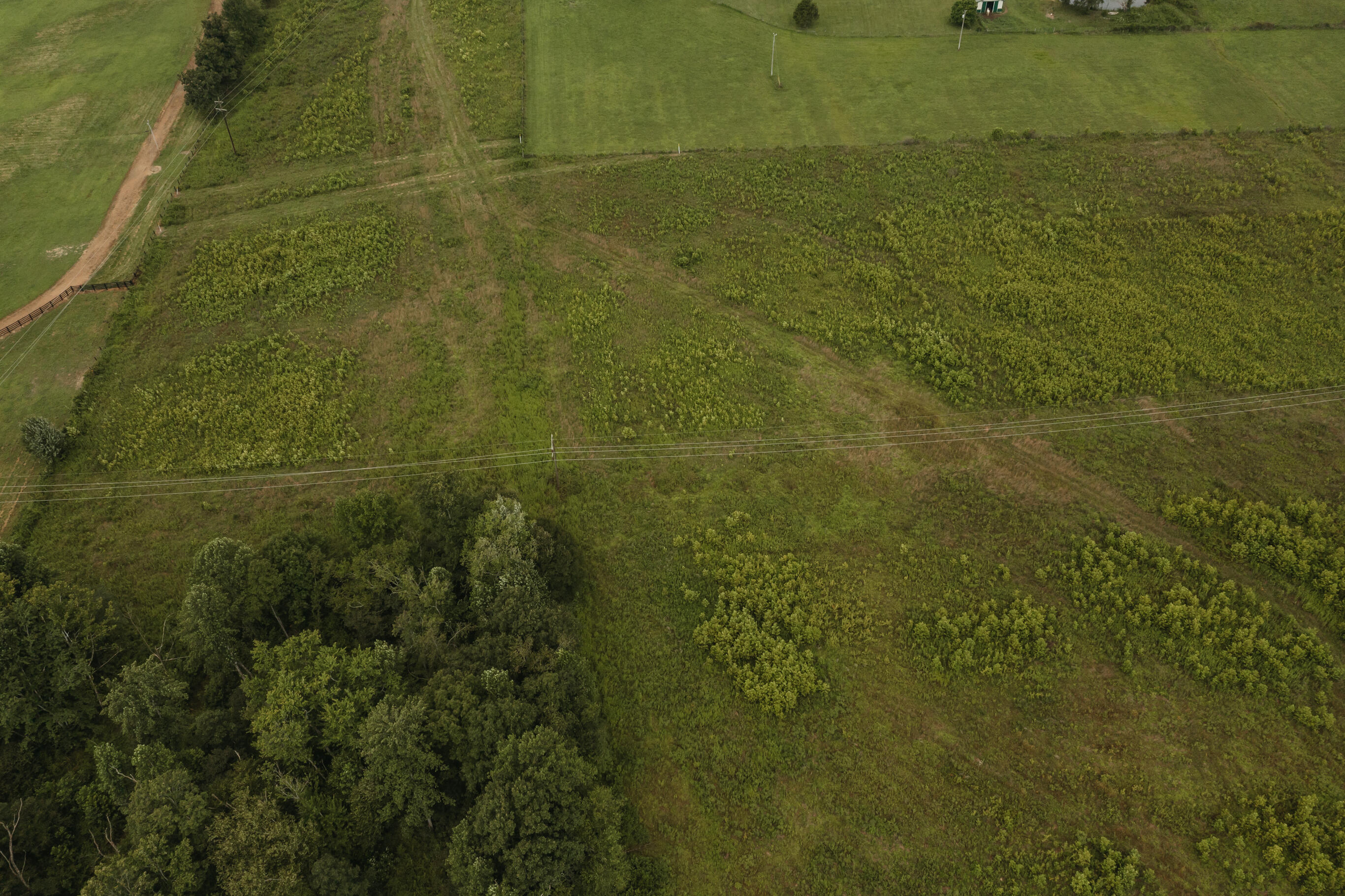 2974 E Fork Road Property Photo 7