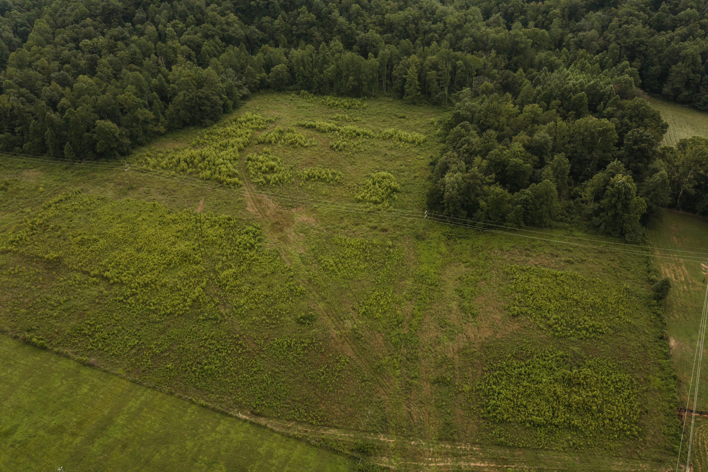 2974 E Fork Road Property Photo 8