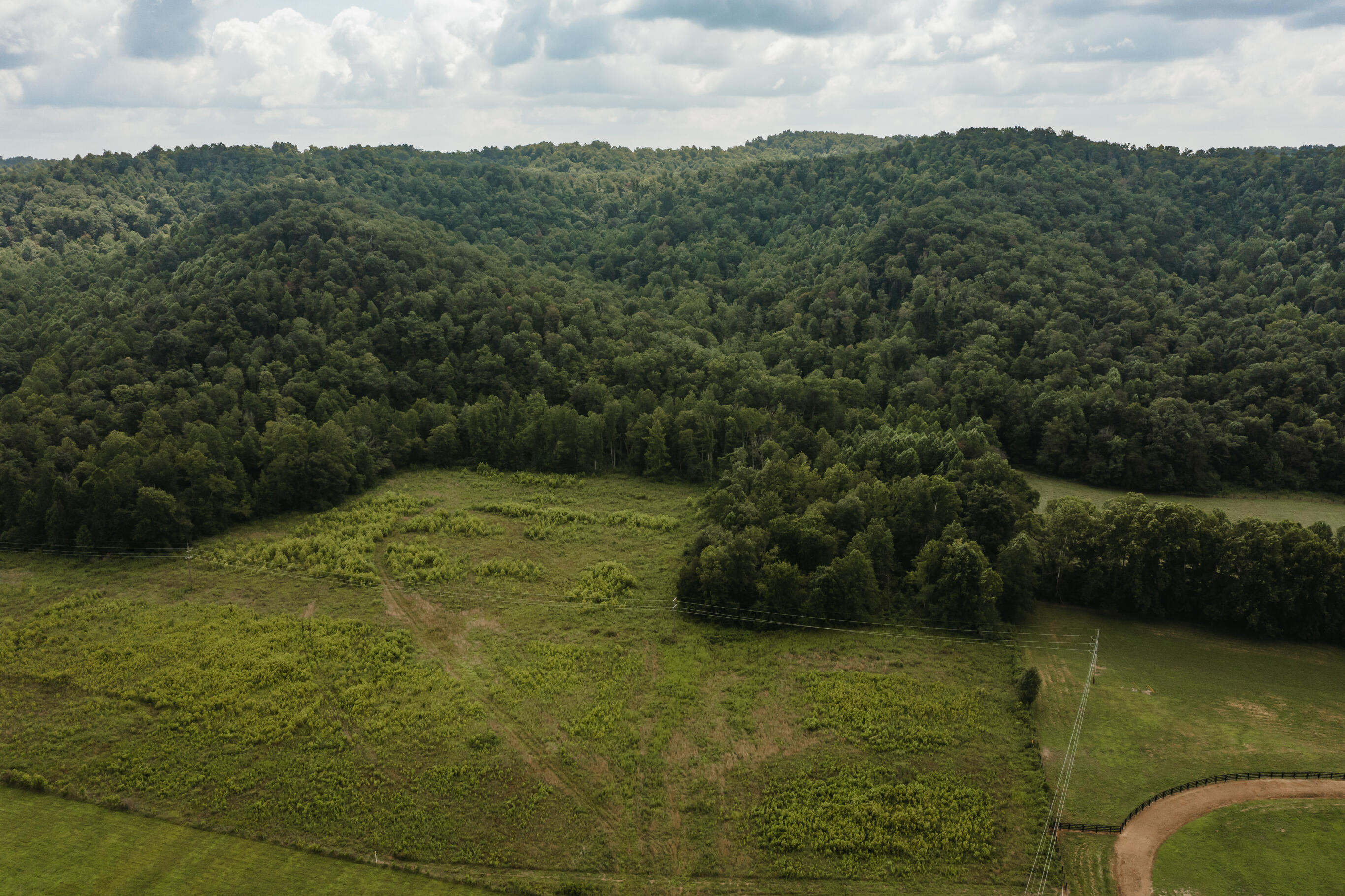 2974 E Fork Road Property Photo 10