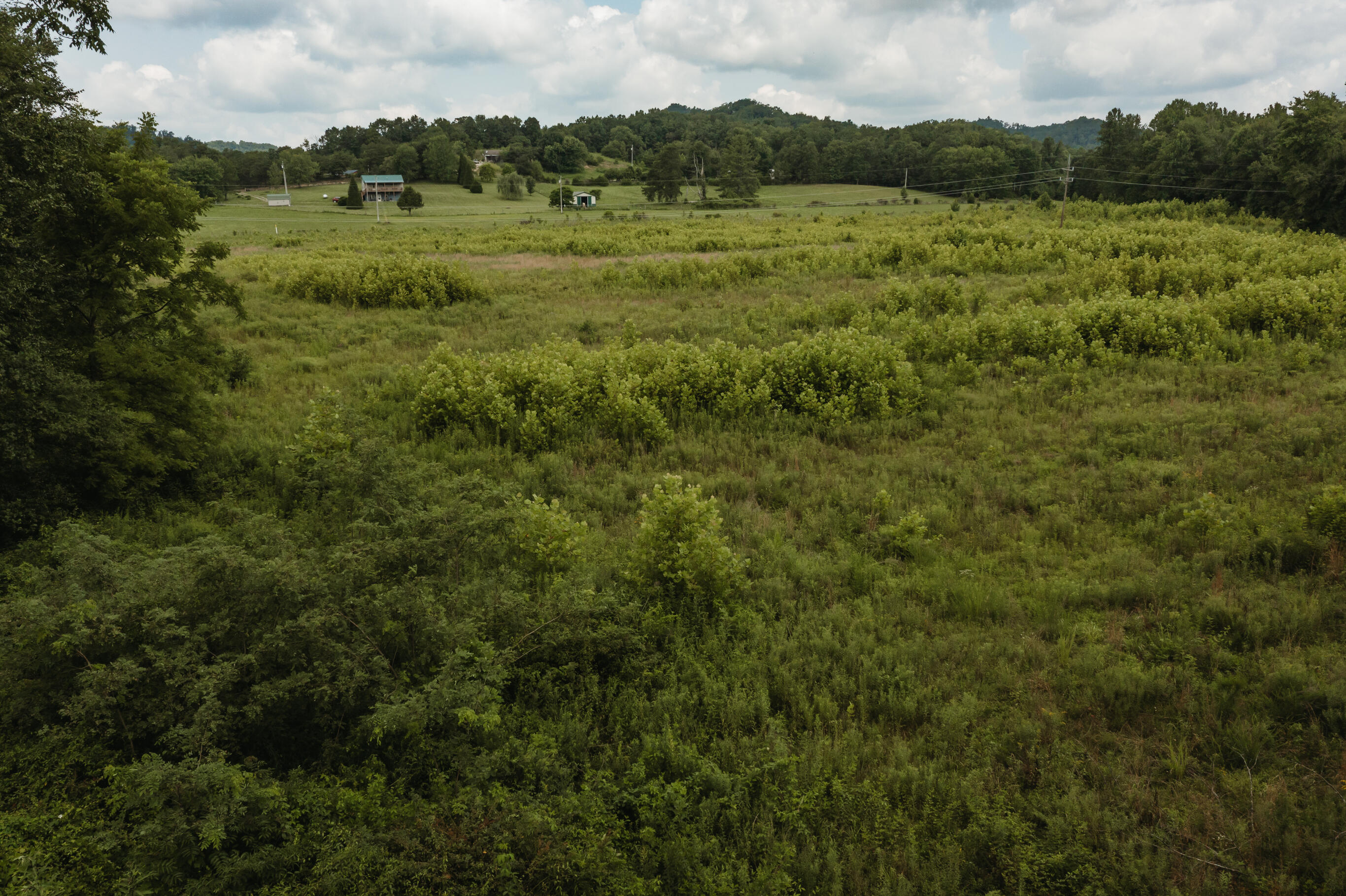 2974 E Fork Road Property Photo 12