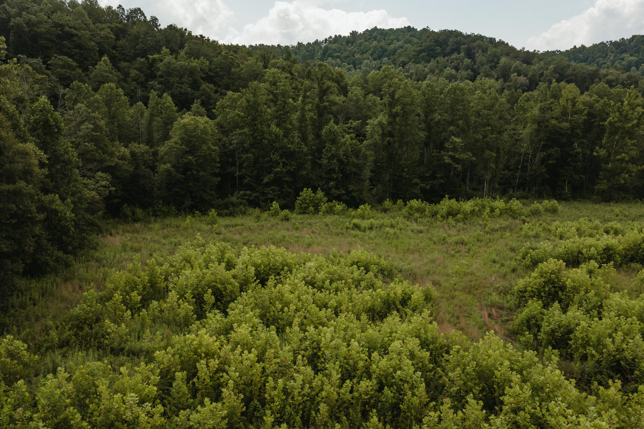 2974 E Fork Road Property Photo 13