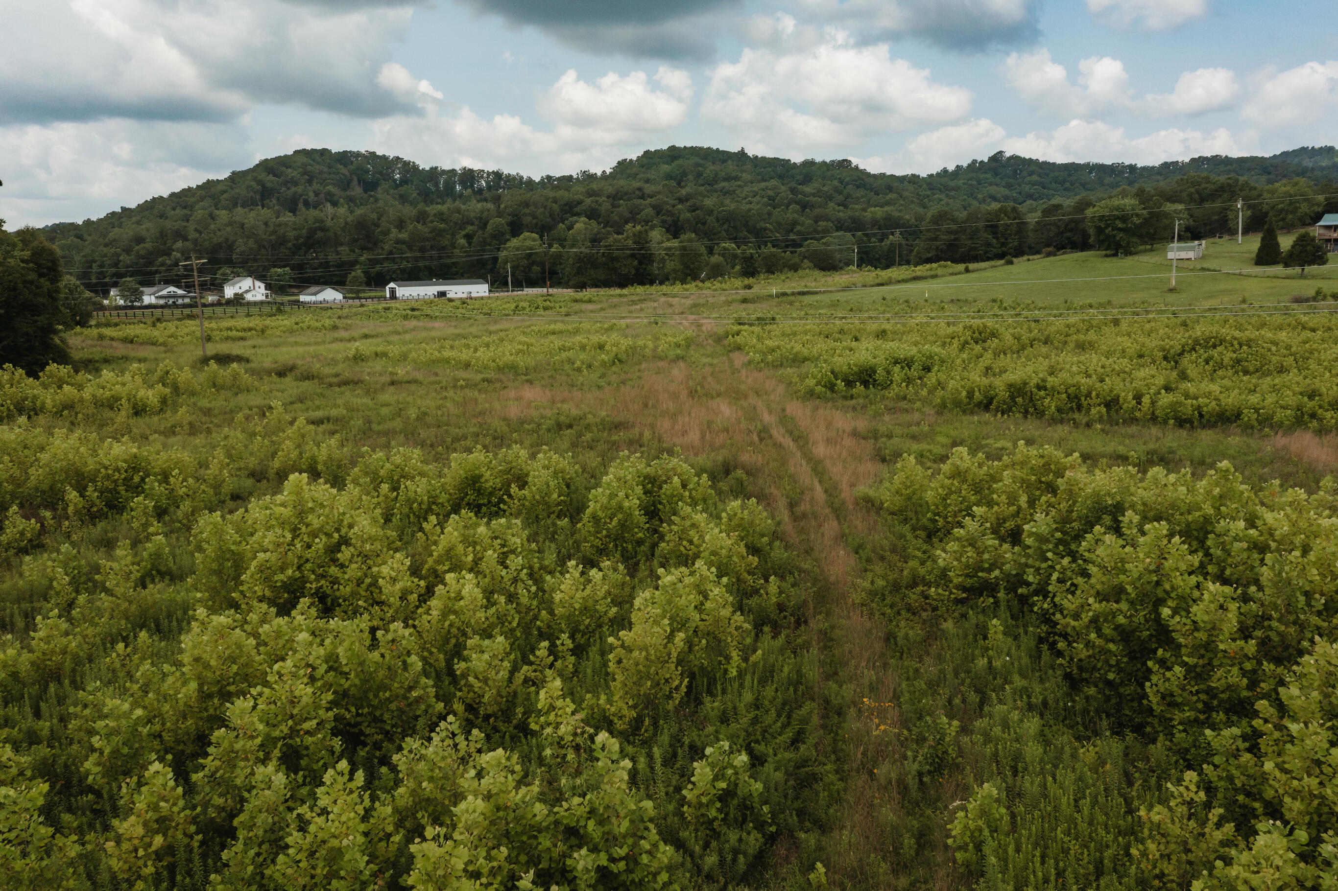 2974 E Fork Road Property Photo 14