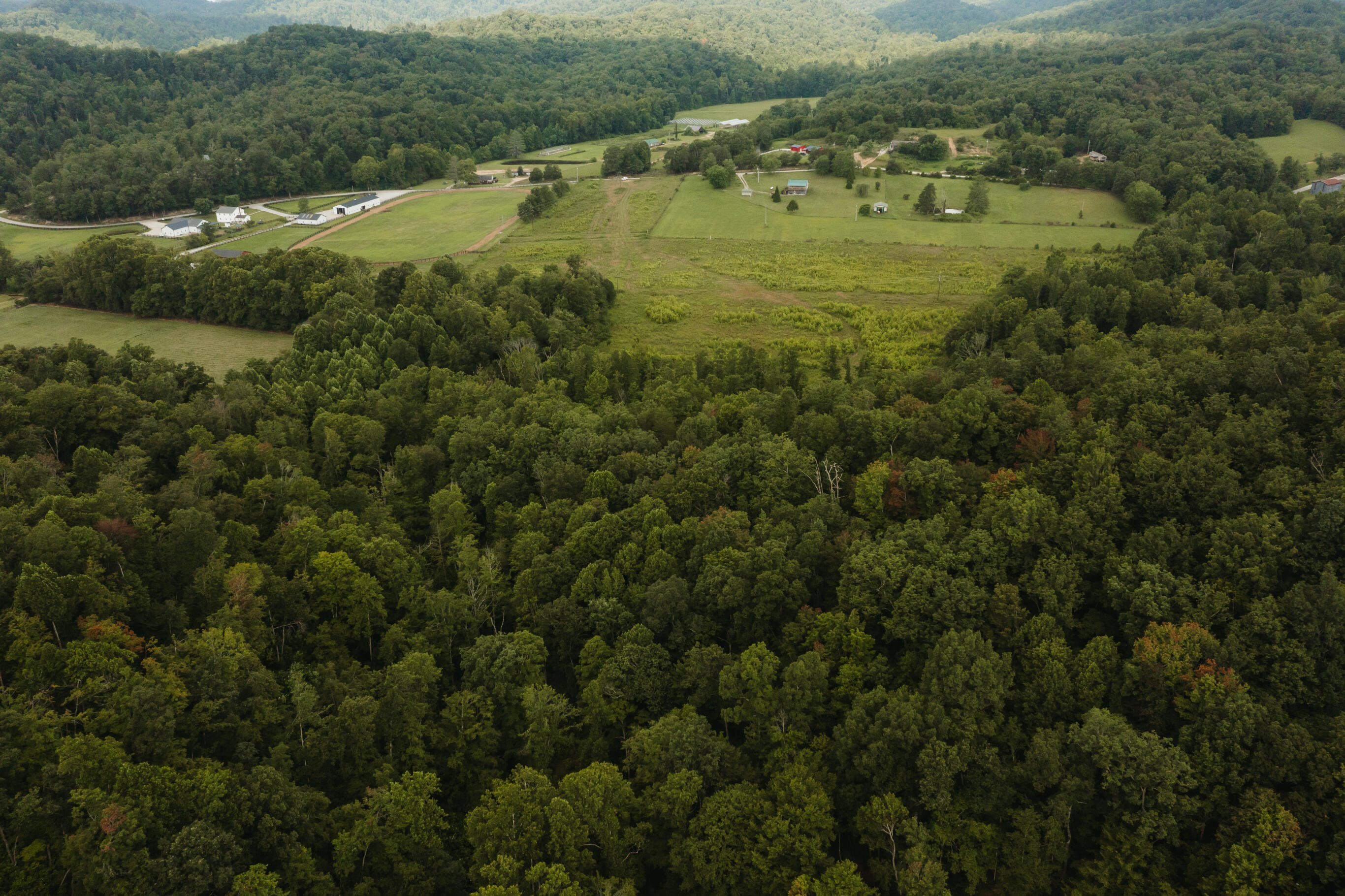 2974 E Fork Road Property Photo 17