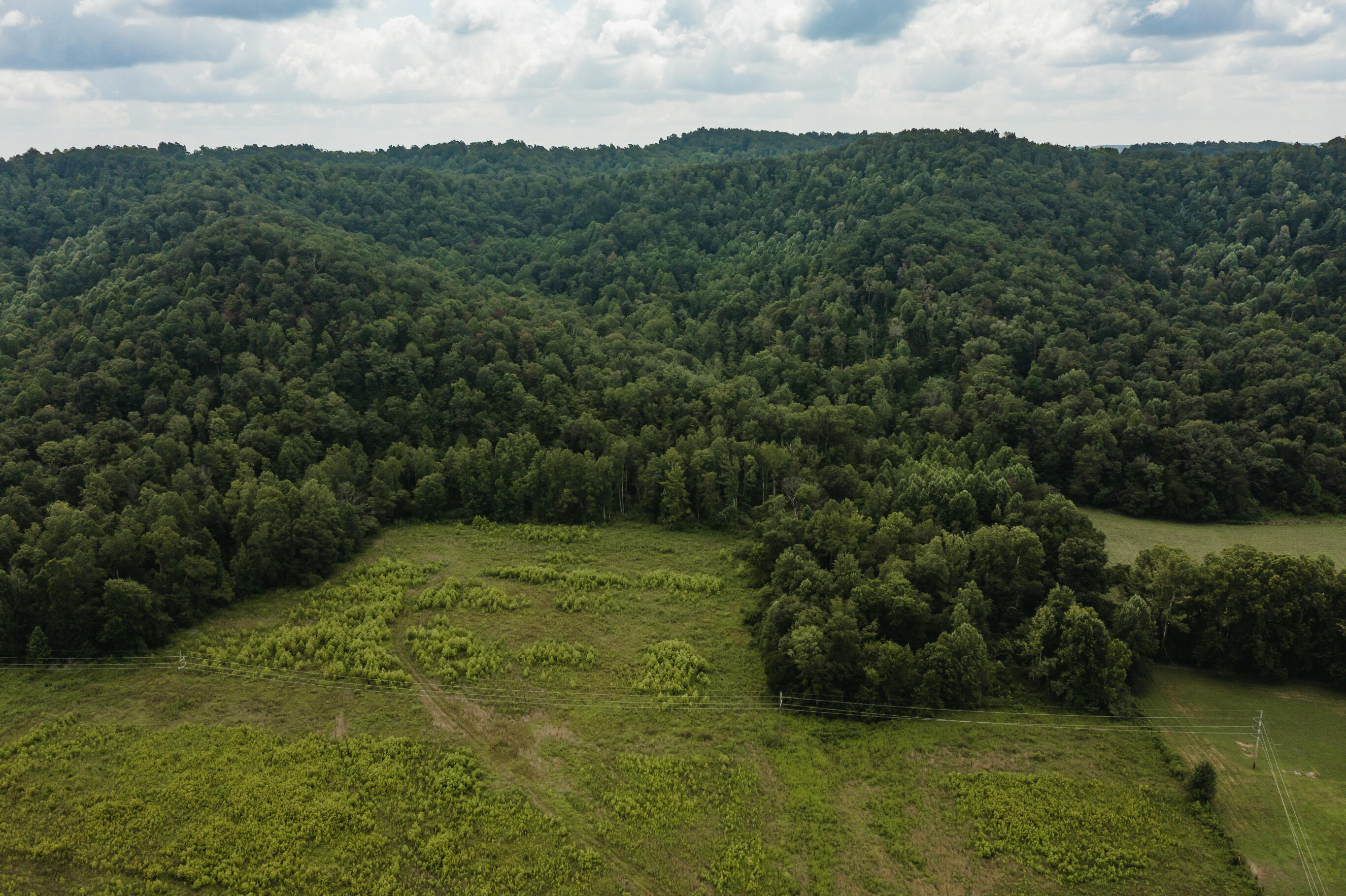 2974 E Fork Road Property Photo 18