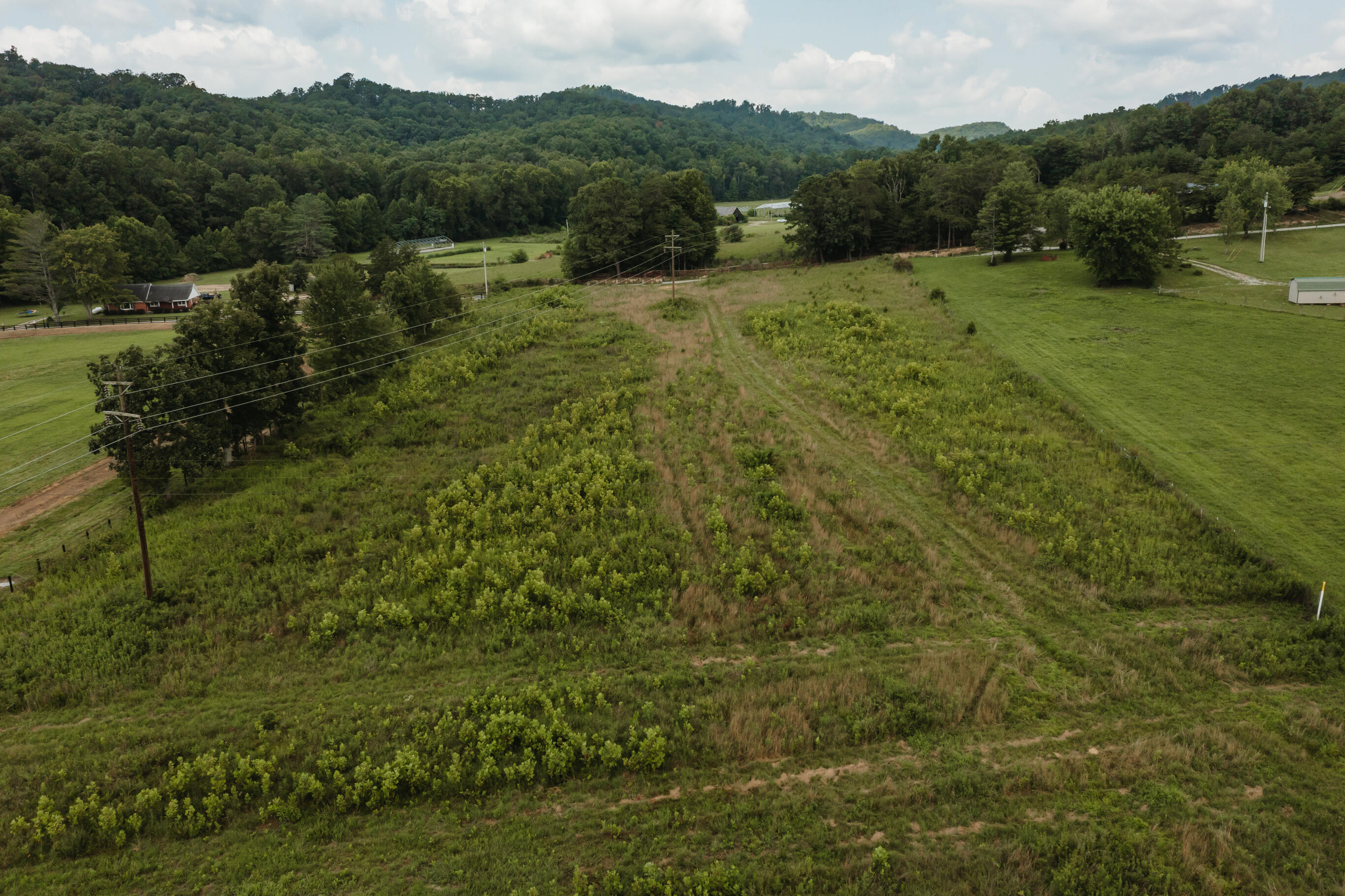 2974 E Fork Road Property Photo 19