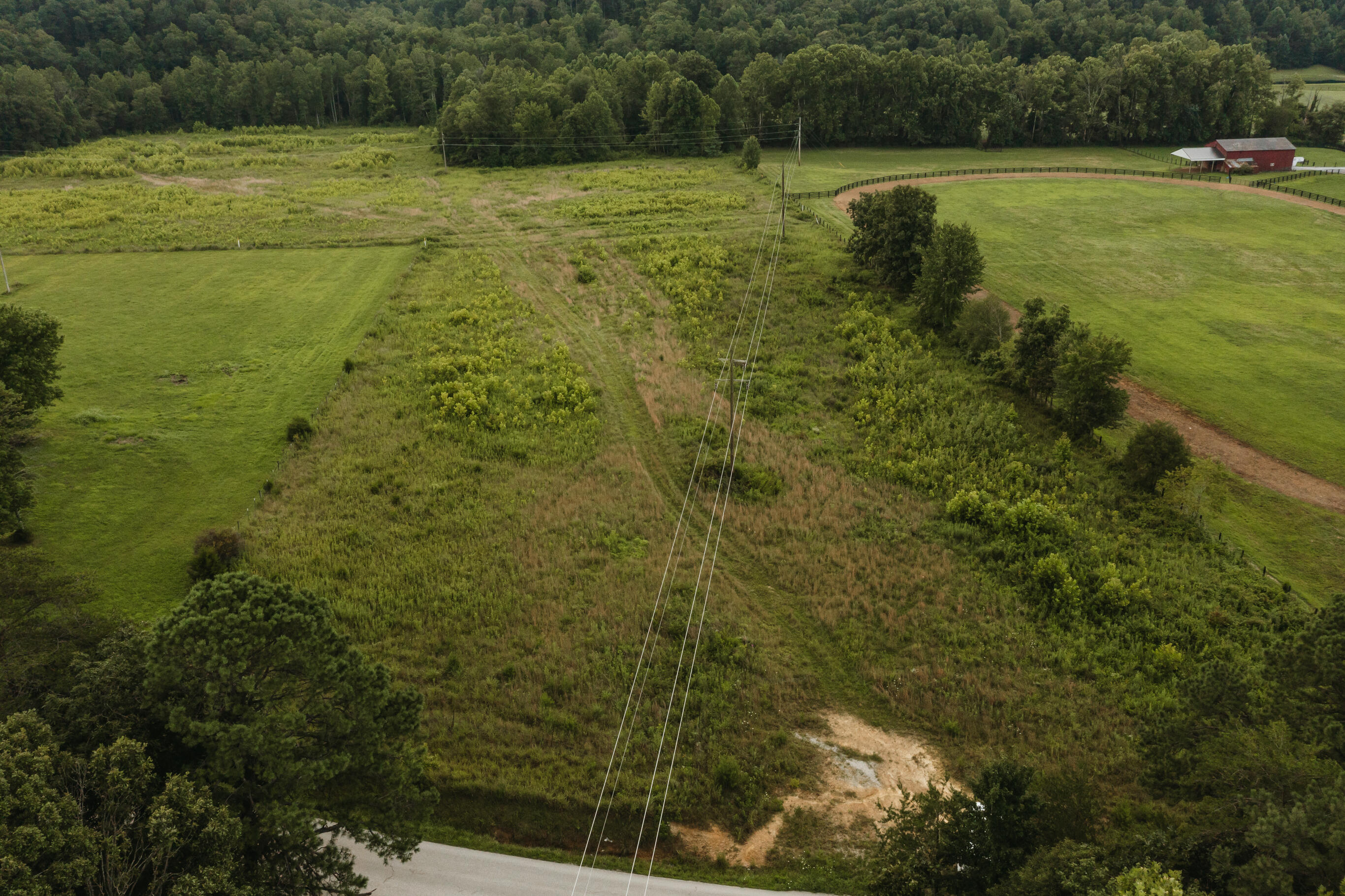 2974 E Fork Road Property Photo 20