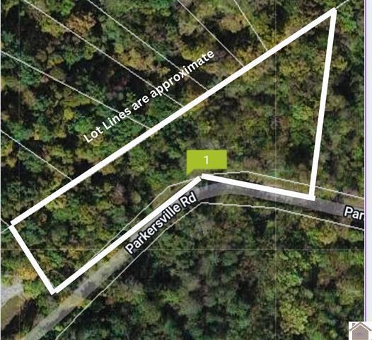 Lot 3 Parkersville Road Property Photo 2