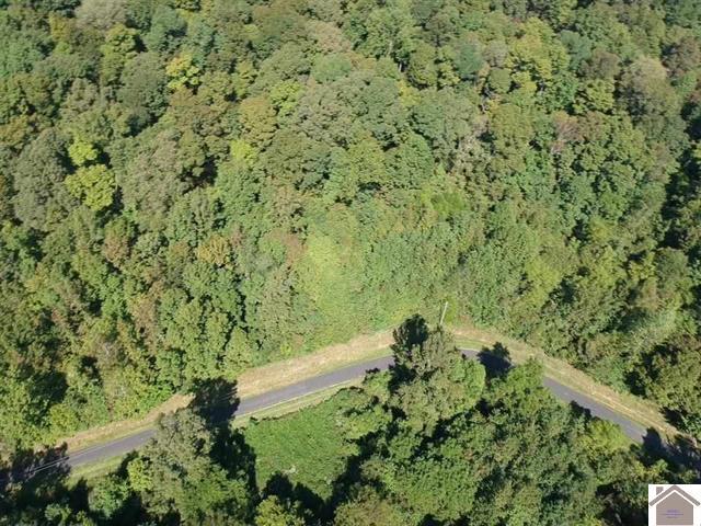 Lot 3 Parkersville Road Property Photo 5