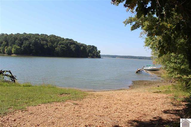 Lot 3 Parkersville Road Property Photo 10