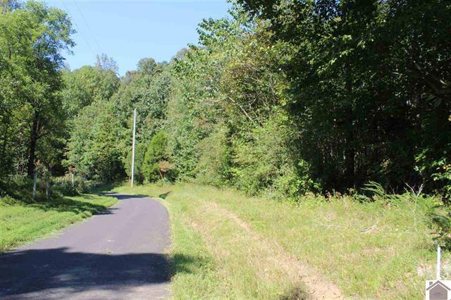 Lot 3 Parkersville Road Property Photo 12