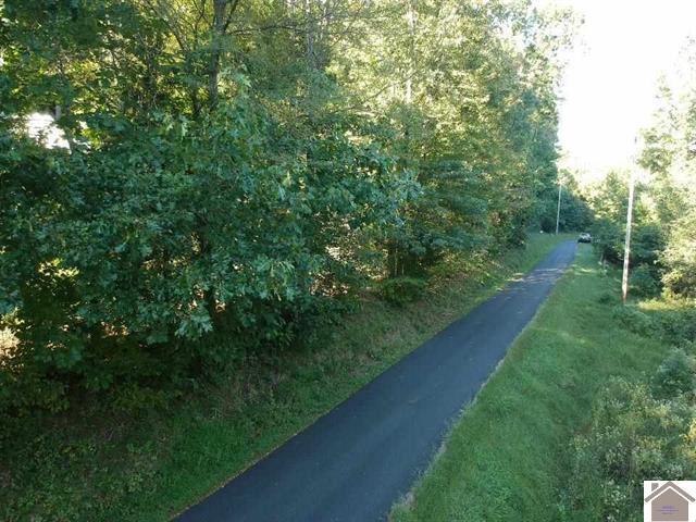 Lot 3 Parkersville Road Property Photo 13
