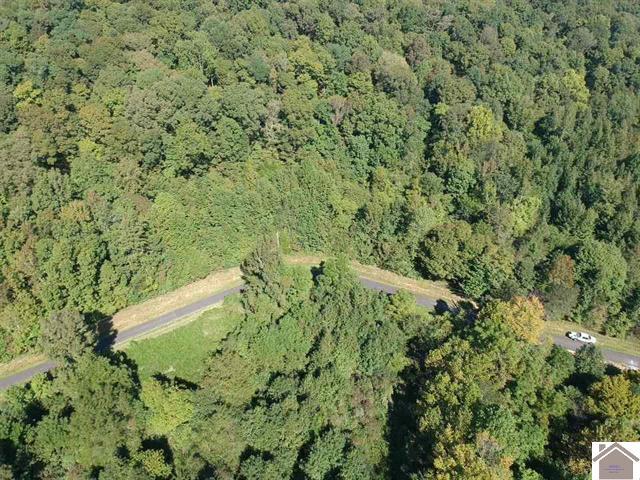 Lot 3 Parkersville Road Property Photo 15