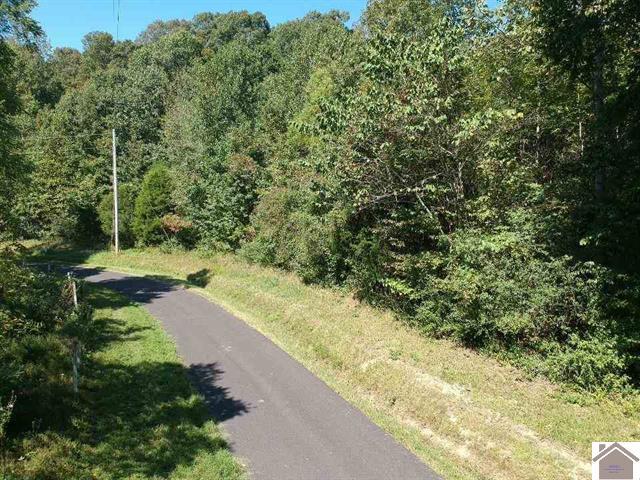 Lot 3 Parkersville Road Property Photo 17