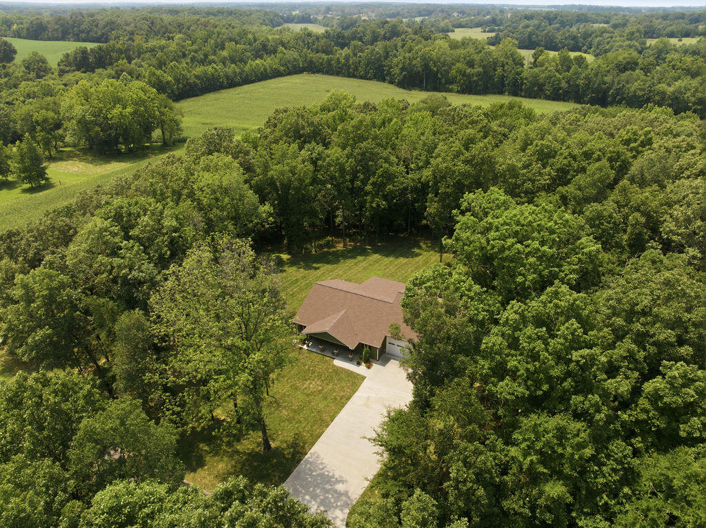91 Cody Drive Property Photo 35