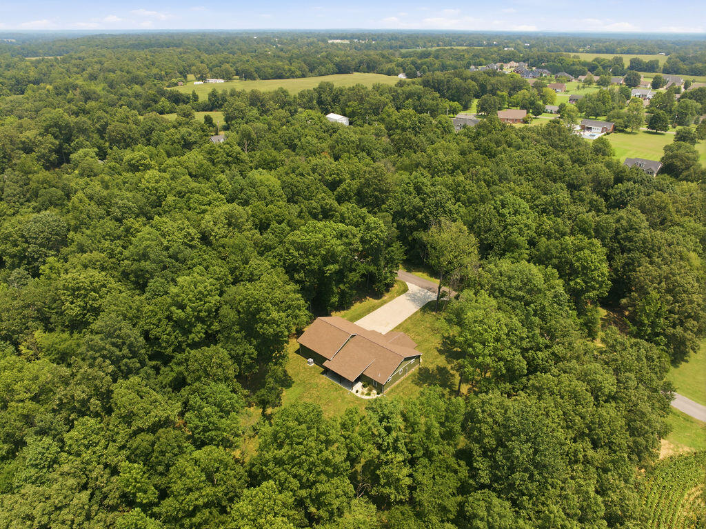 91 Cody Drive Property Photo 40