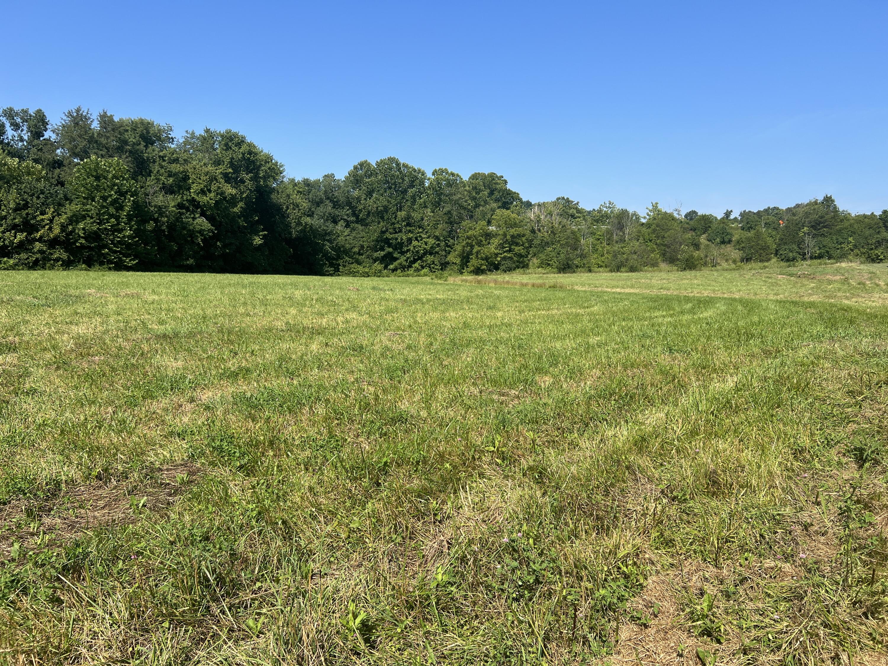 0 Stevens Road Property Photo 1