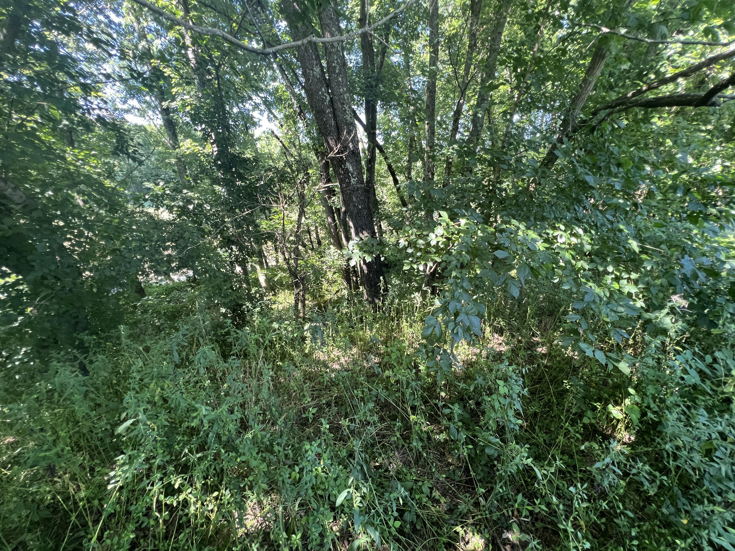 0 Stevens Road Property Photo 3