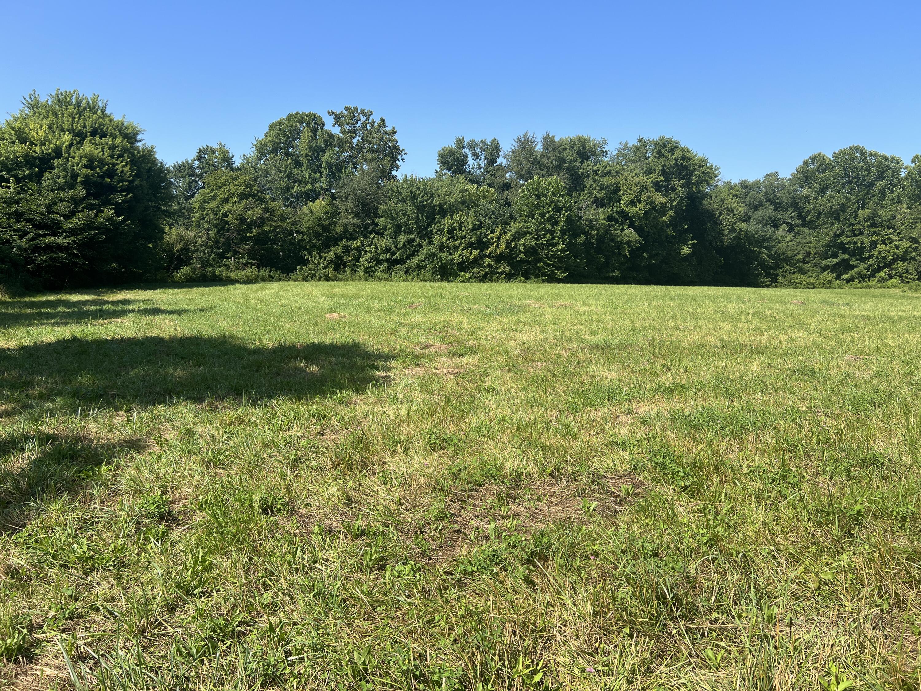 0 Stevens Road Property Photo 8