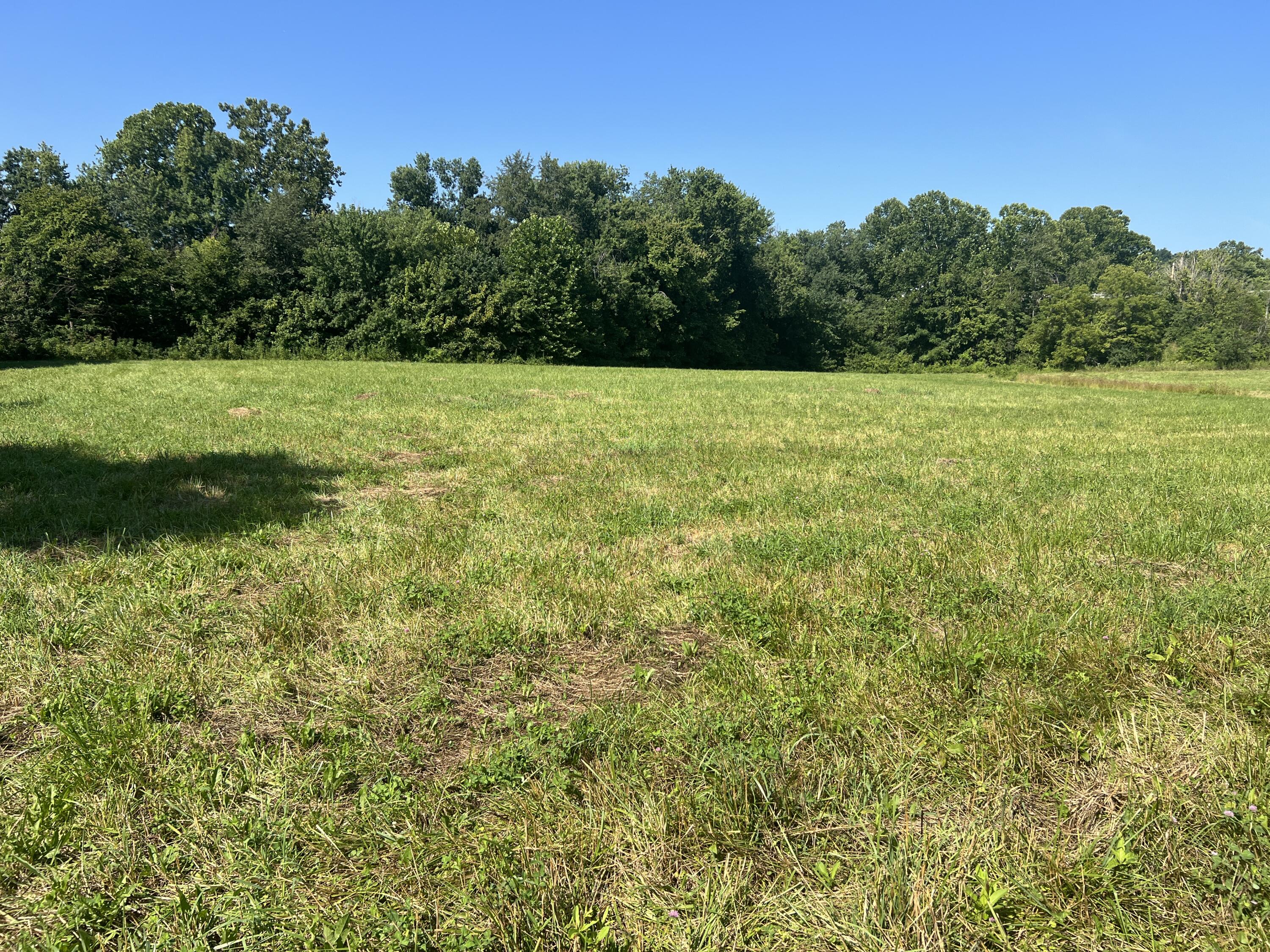0 Stevens Road Property Photo 9