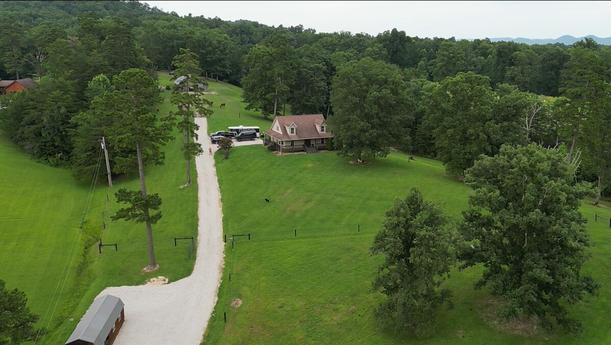 50 Caitlyn Court Property Photo 3
