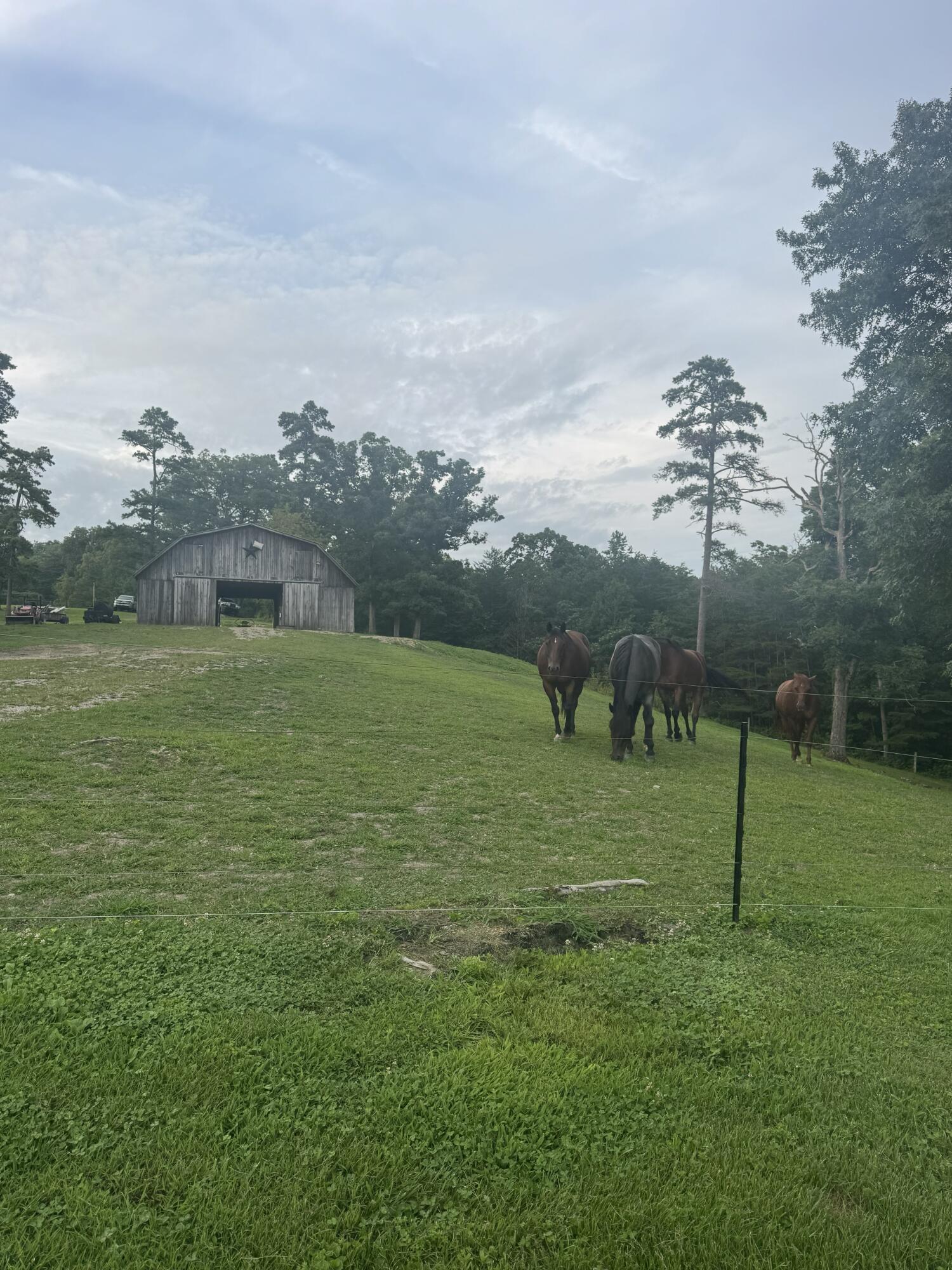 50 Caitlyn Court Property Photo 36