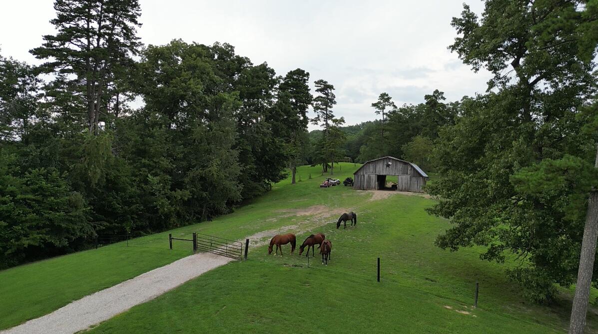 50 Caitlyn Court Property Photo 37