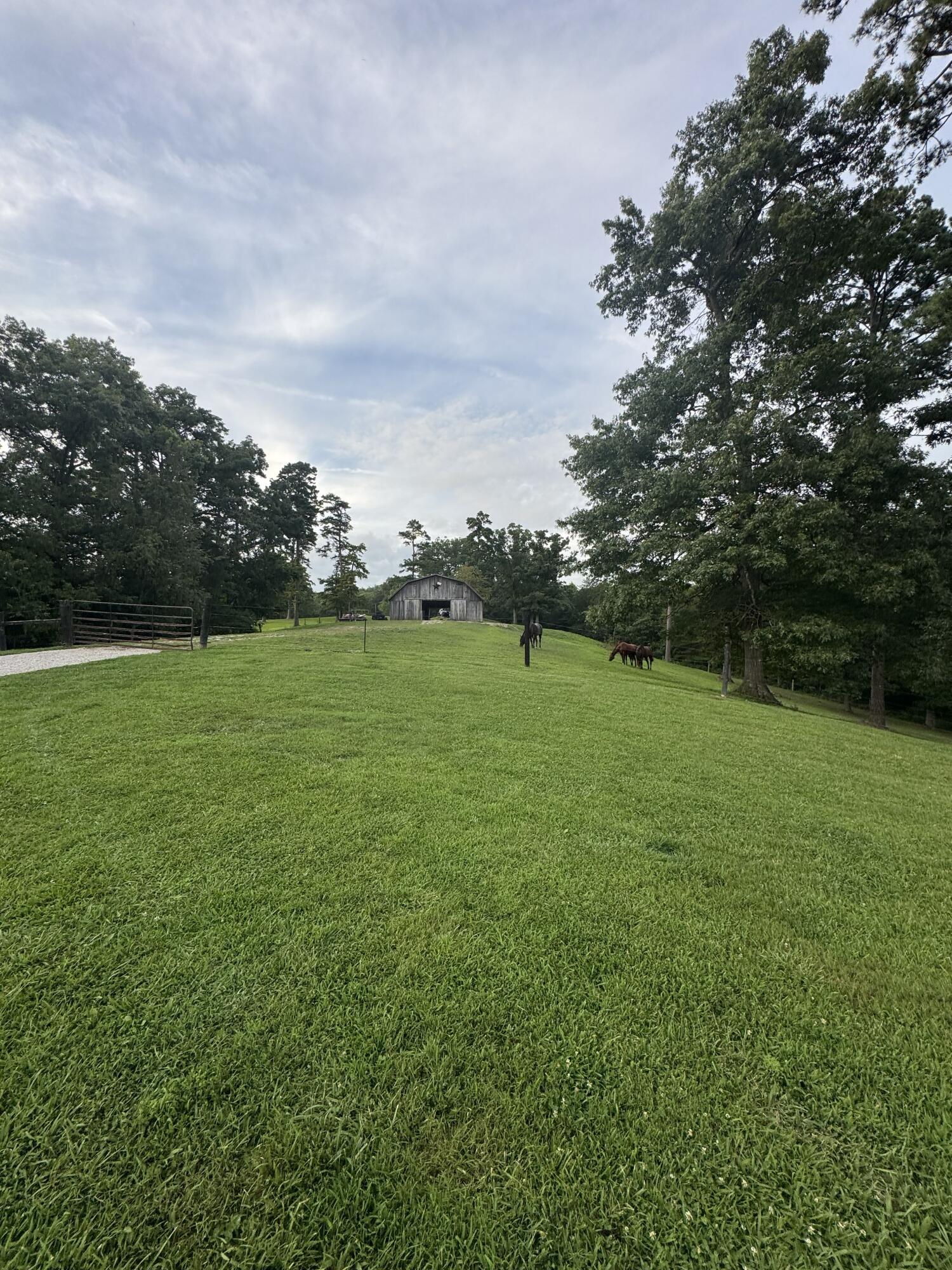 50 Caitlyn Court Property Photo 38